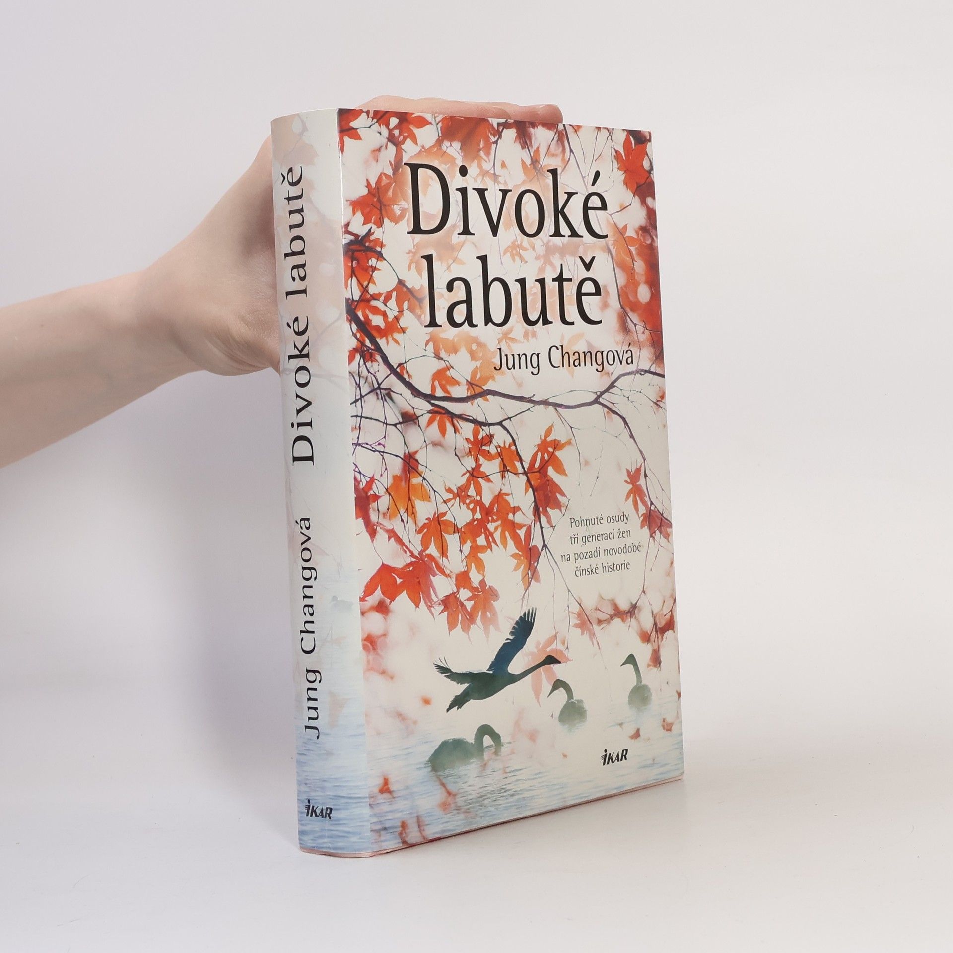 Yong Chang Divoké labutě