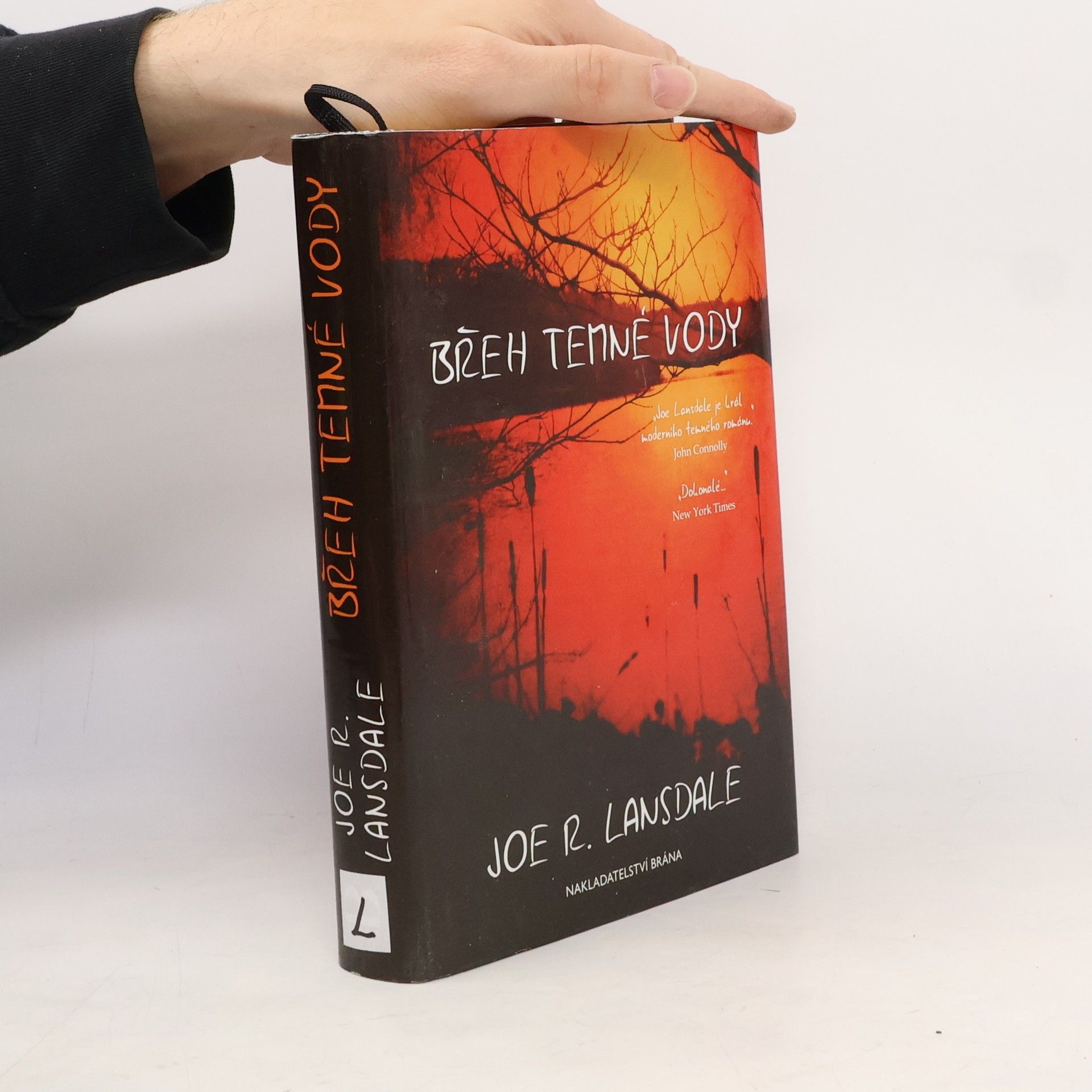Joe R. Lansdale Břeh temné vody