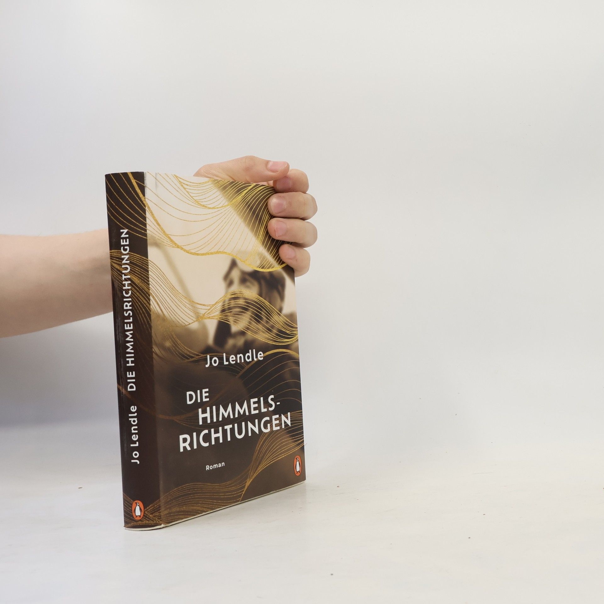 Jo Lendle Die Himmelsrichtungen. Roman
