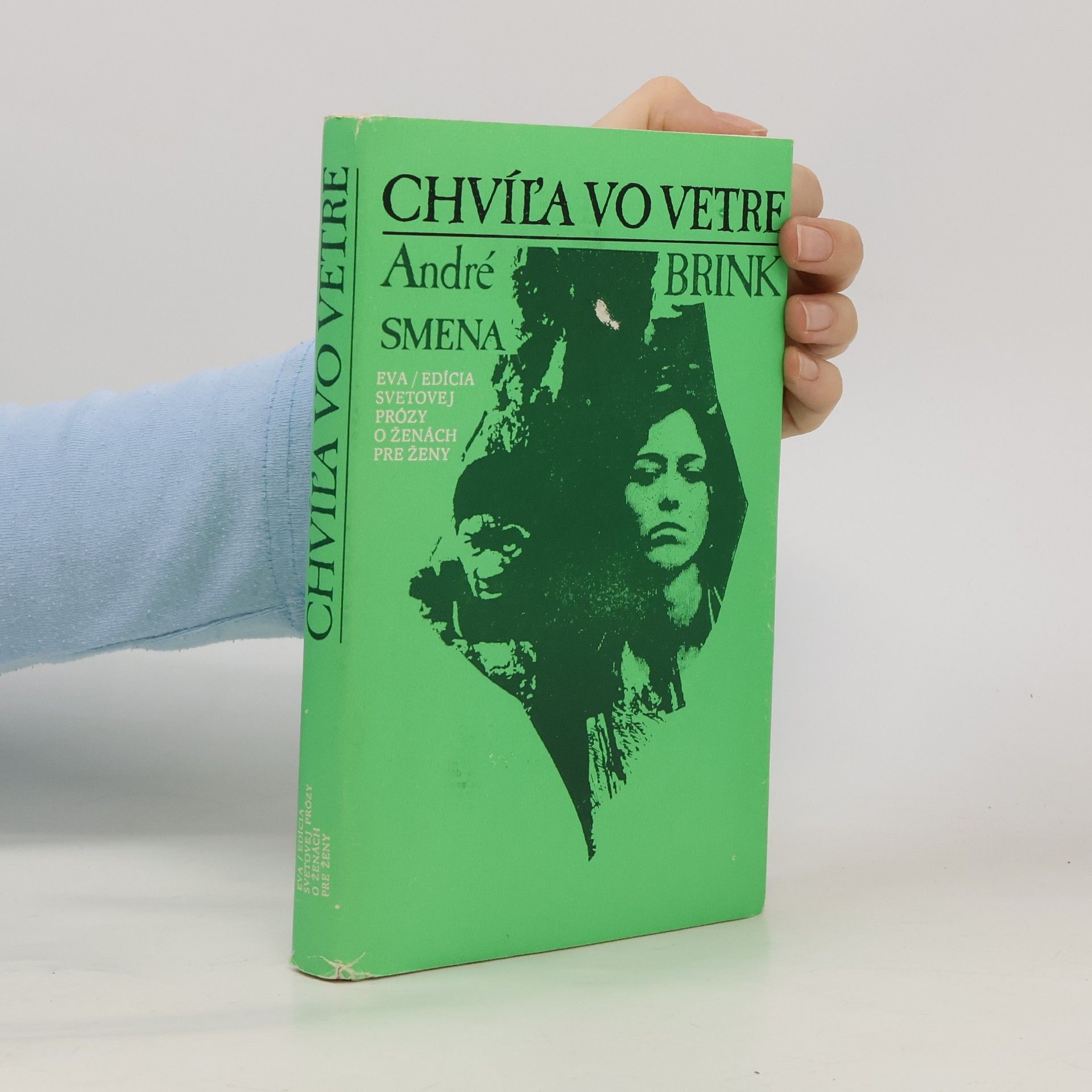 André Brink Chvíľa vo vetre