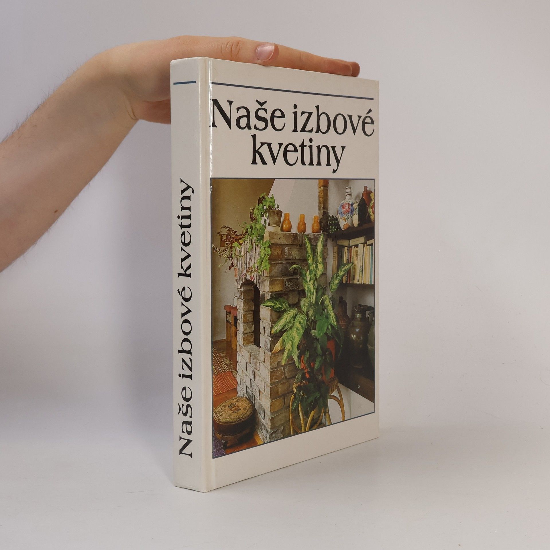 Lajos Lelkes Naše izbové kvetiny