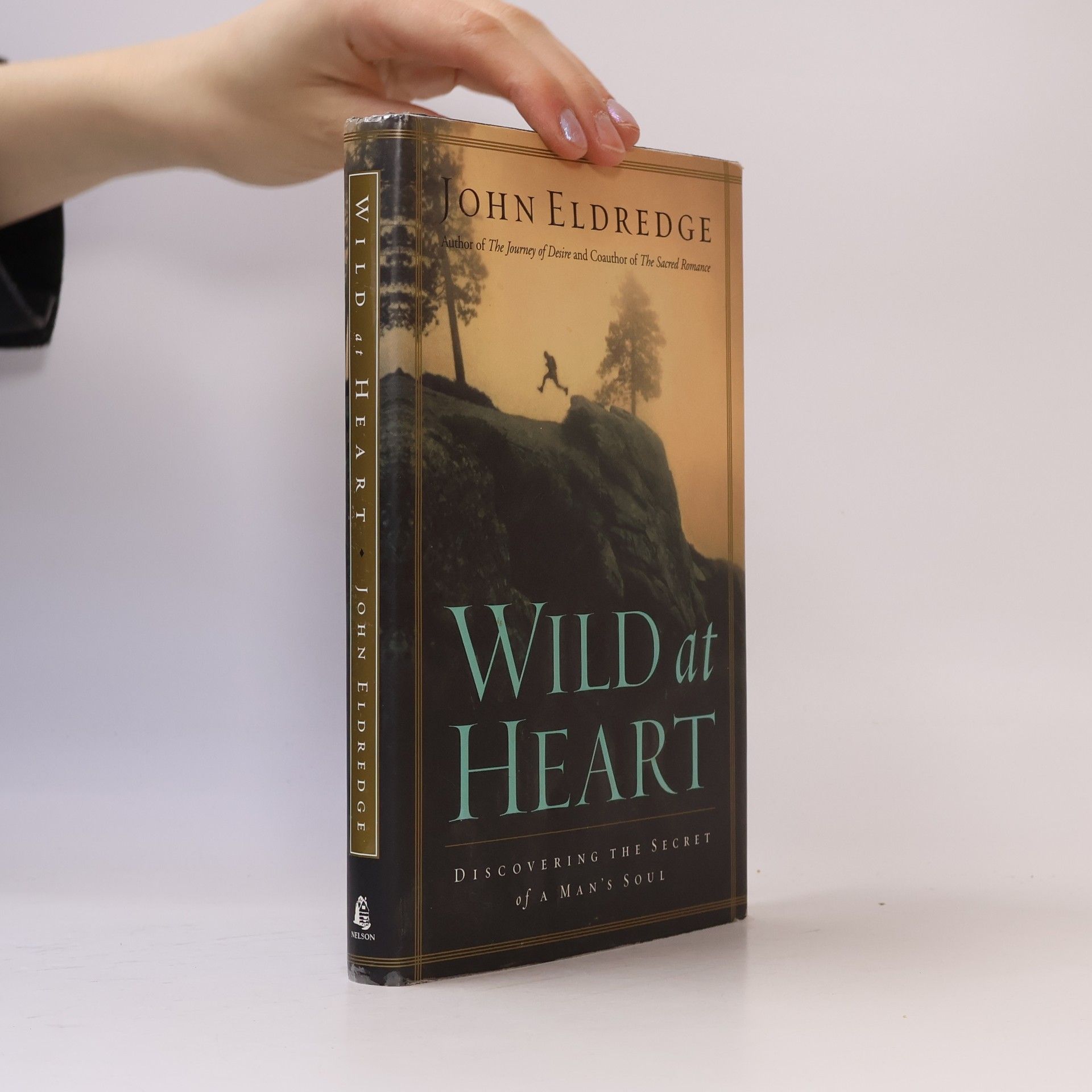 John Eldredge Wild at Heart