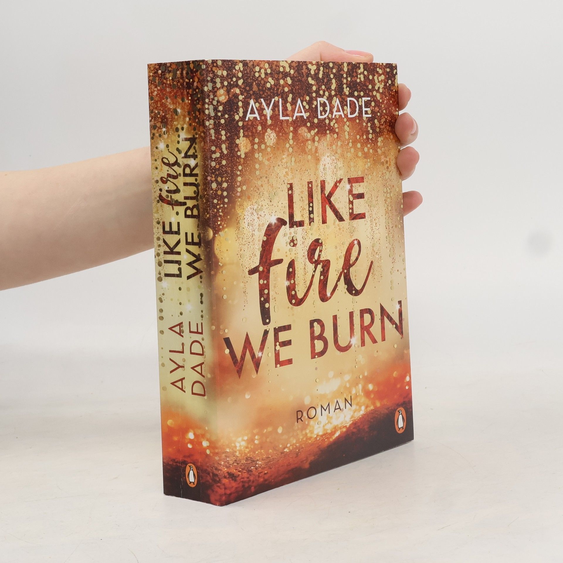 Ayla Dade Like Fire We Burn