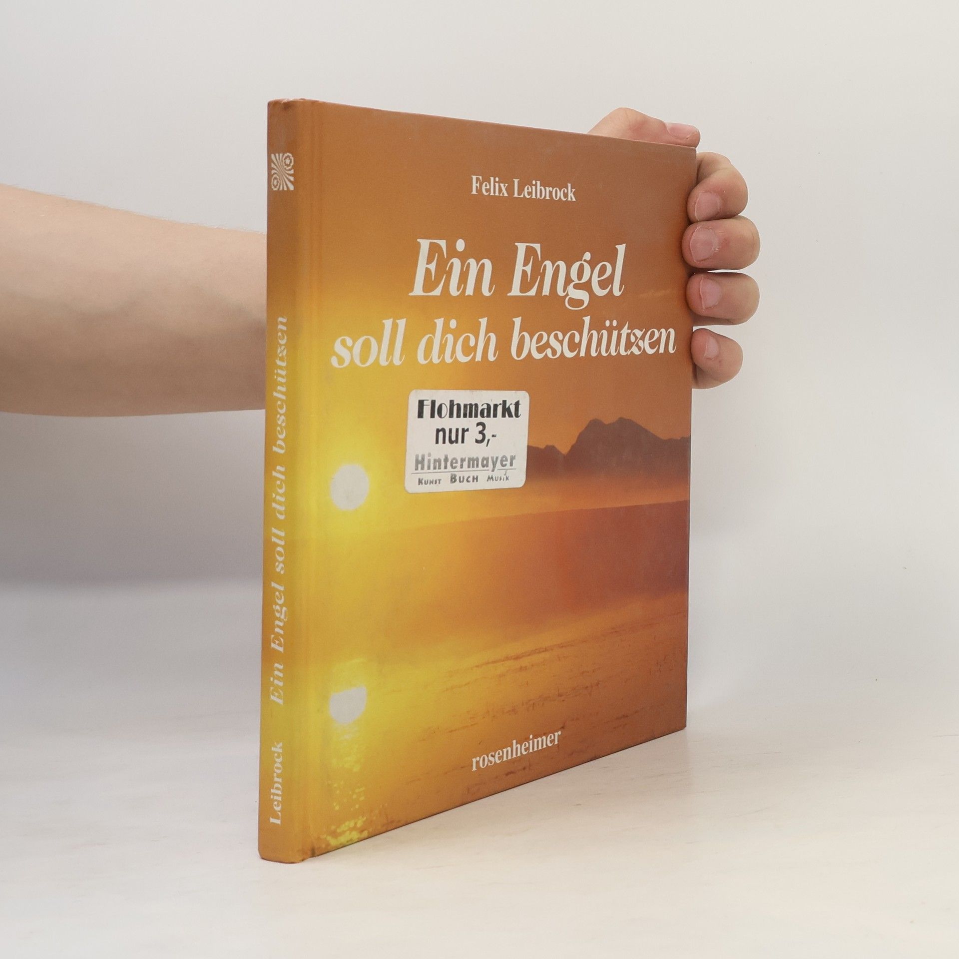 Felix Leibrock Ein Engel soll dich beschützen