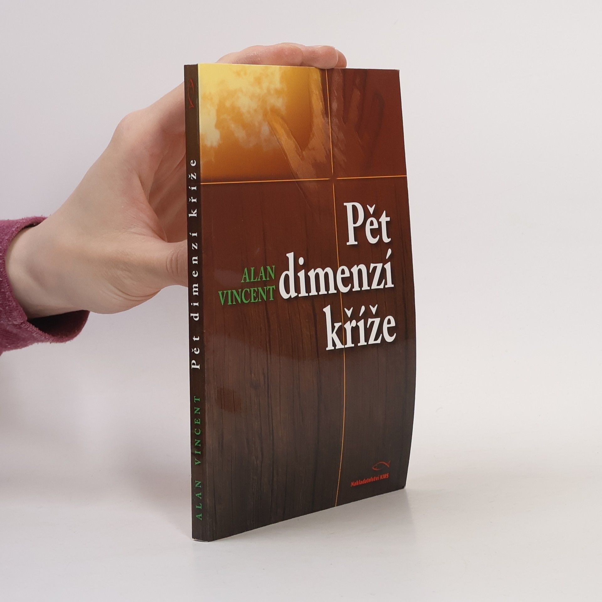Alan Vincent Pět dimenzí kříže