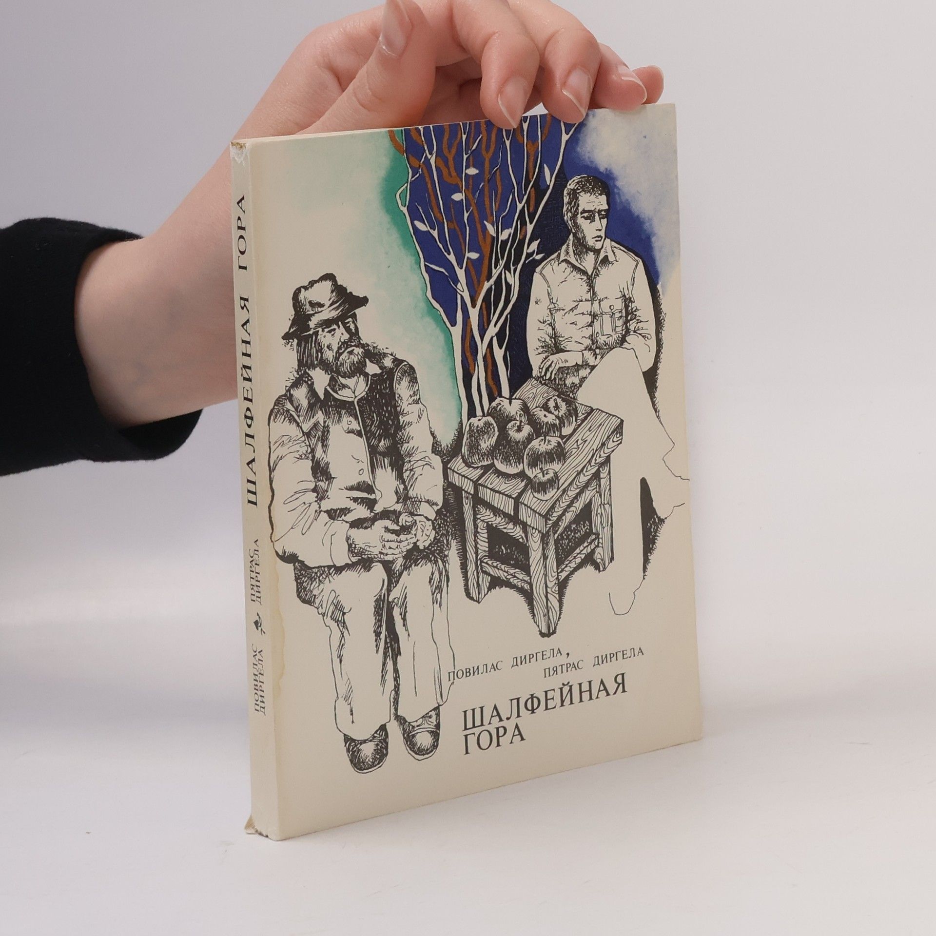 Collectif d'auteurs Шалфейная гора