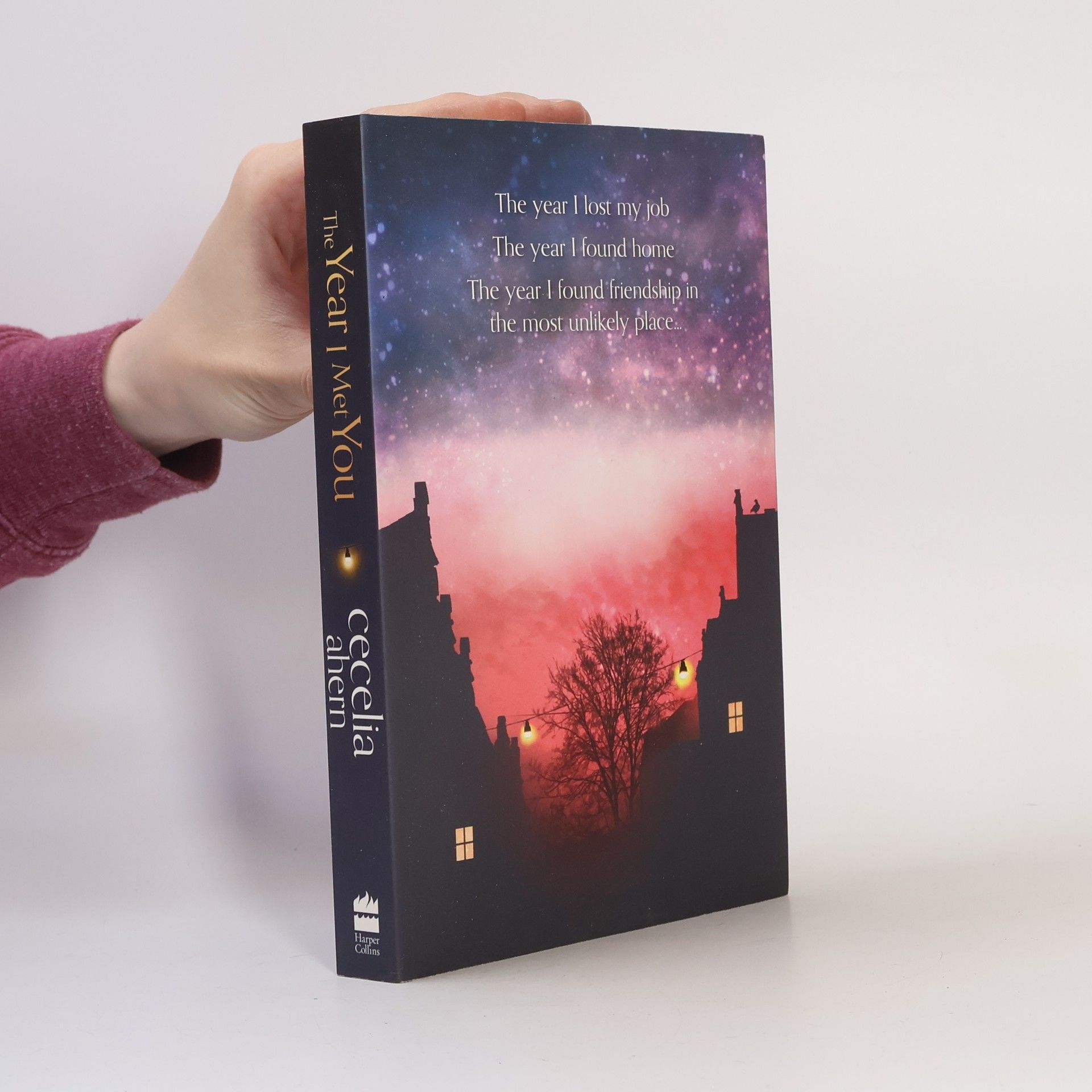 Cecelia Ahern The Year I Met You