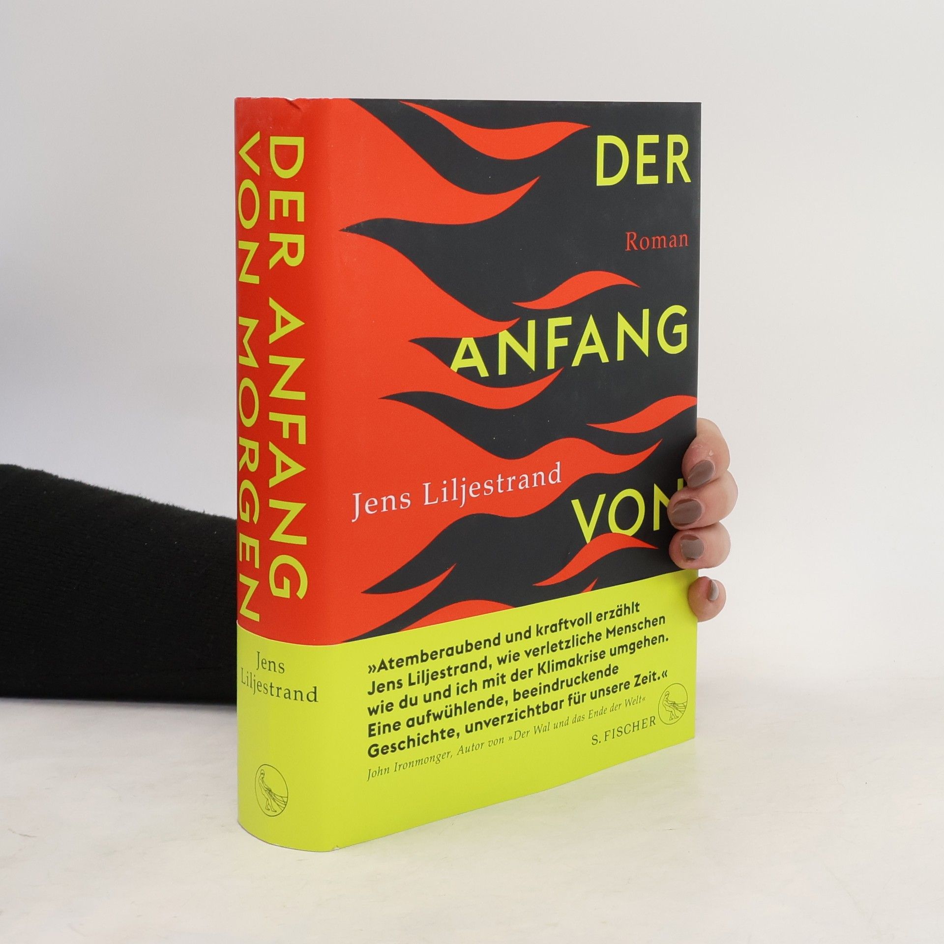 Jens Liljestrand Der Anfang von Morgen