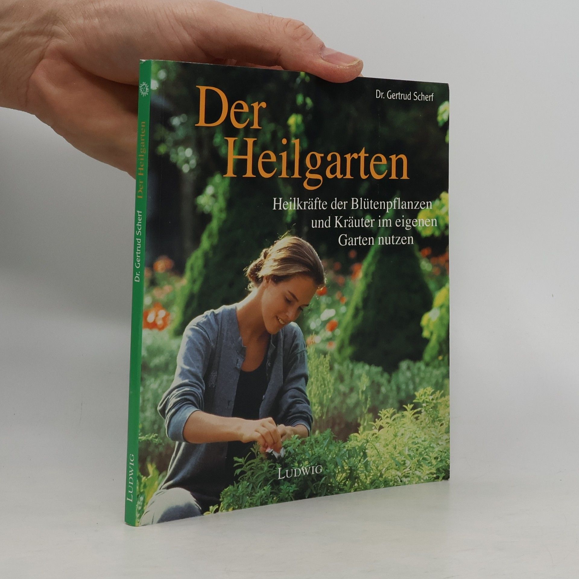 Gertrud Scherf Der Heilgarten ; Heilkräfte der Blütenpflanzen und Kräuter im eigenen Garten nutzen