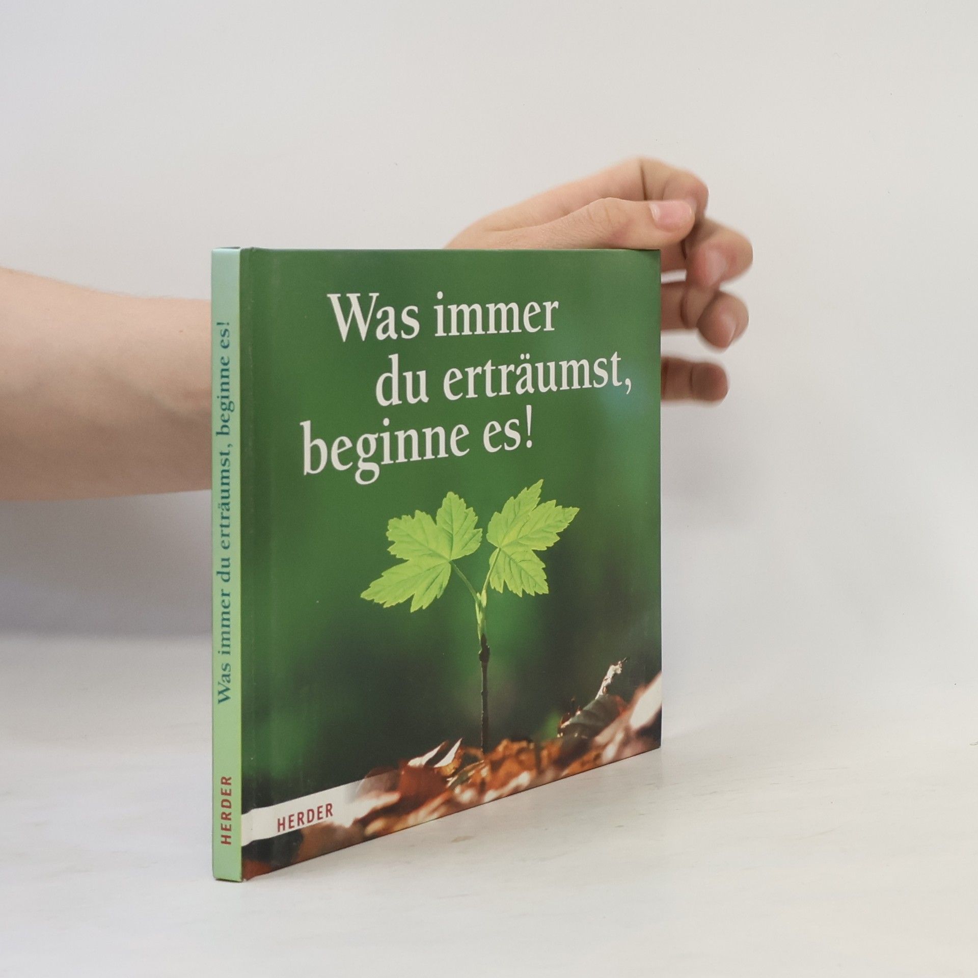 Tina Herzig Was immer du erträumst, beginne es!