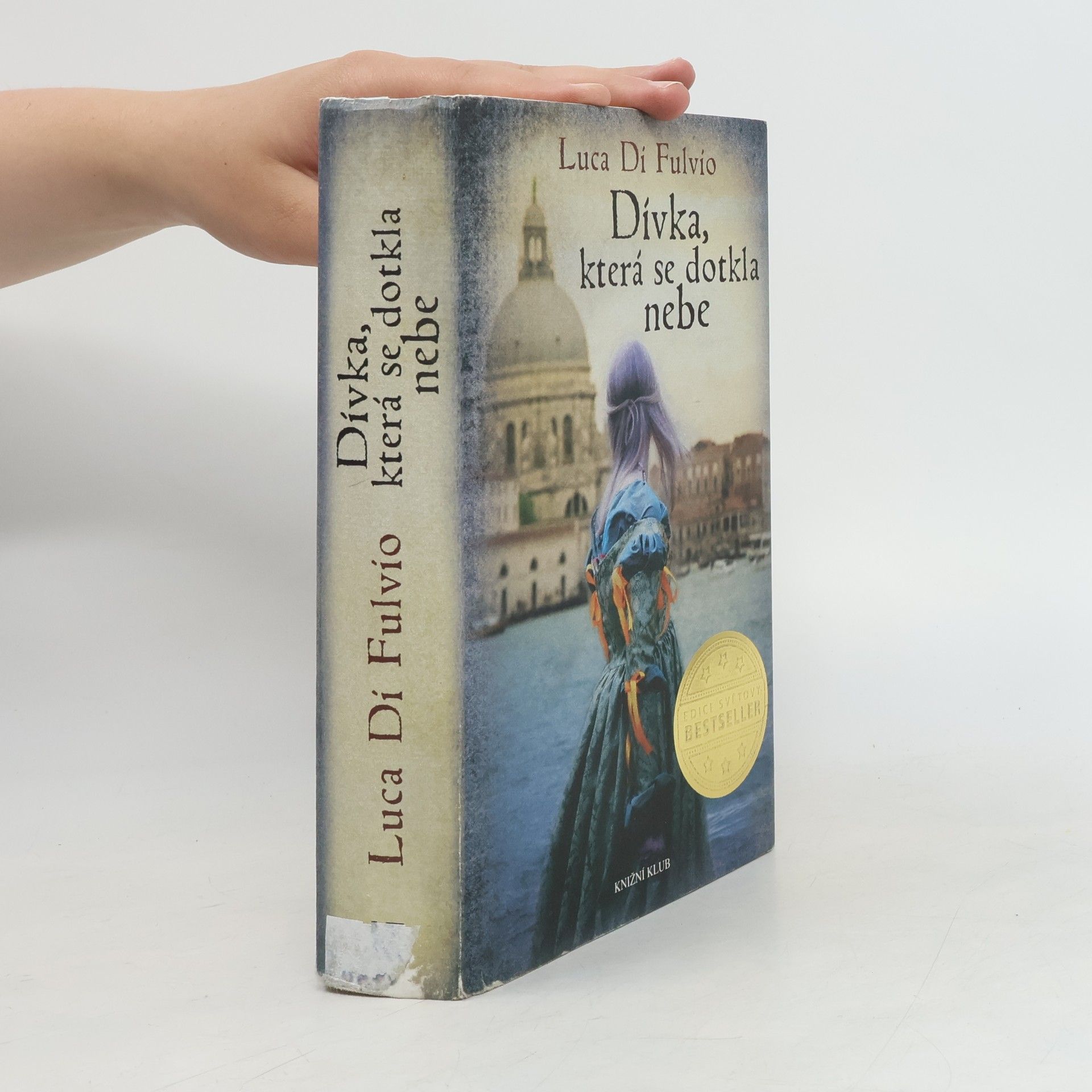 Luca Di Fulvio Dívka, která se dotkla nebe