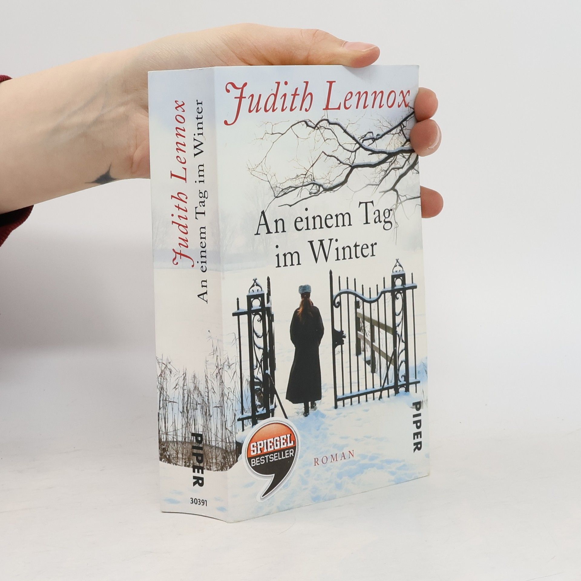 Judith Lennox An einem Tag im Winter