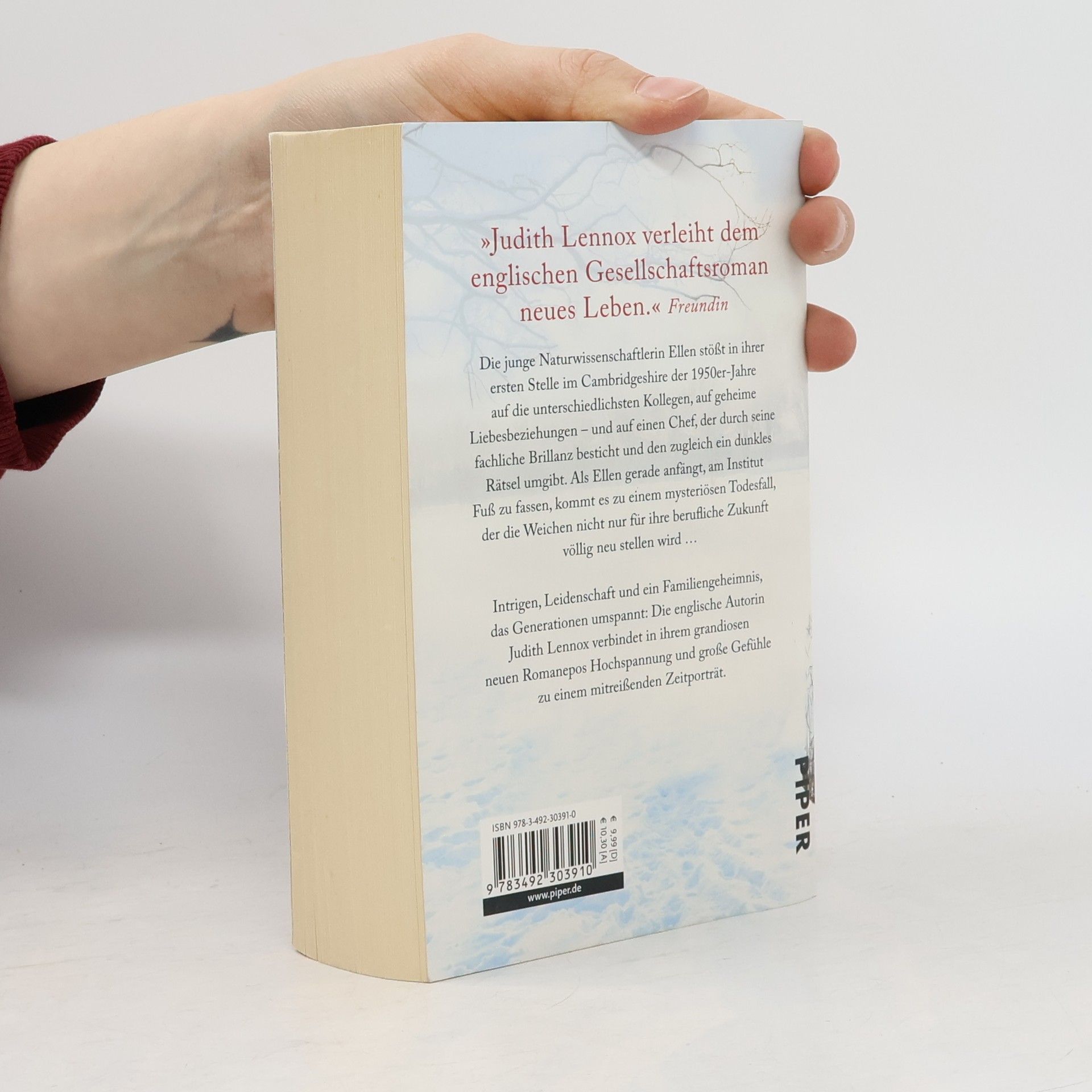 Judith Lennox An einem Tag im Winter