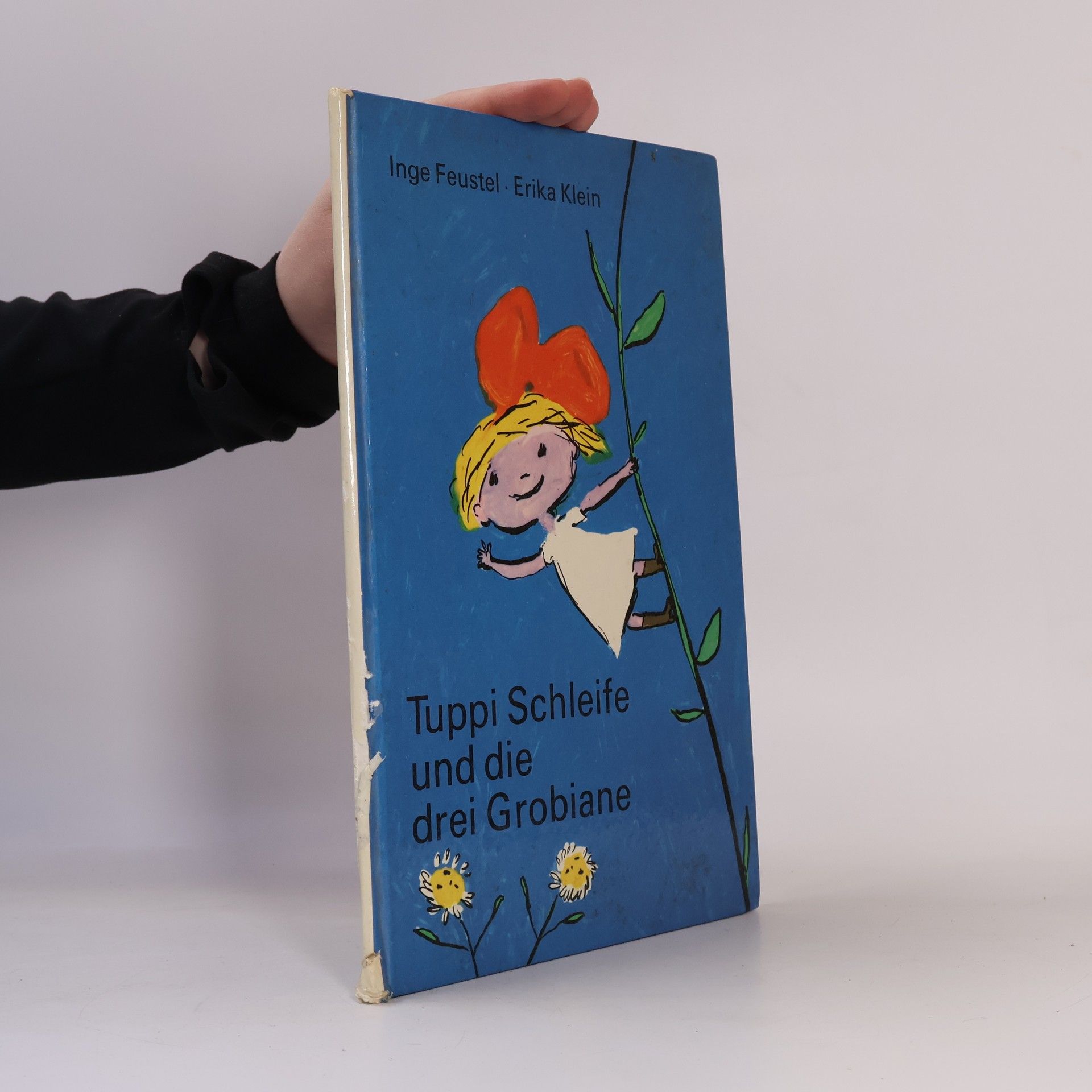 Erika Klein Tuppi Schleife und die drei Grobiane