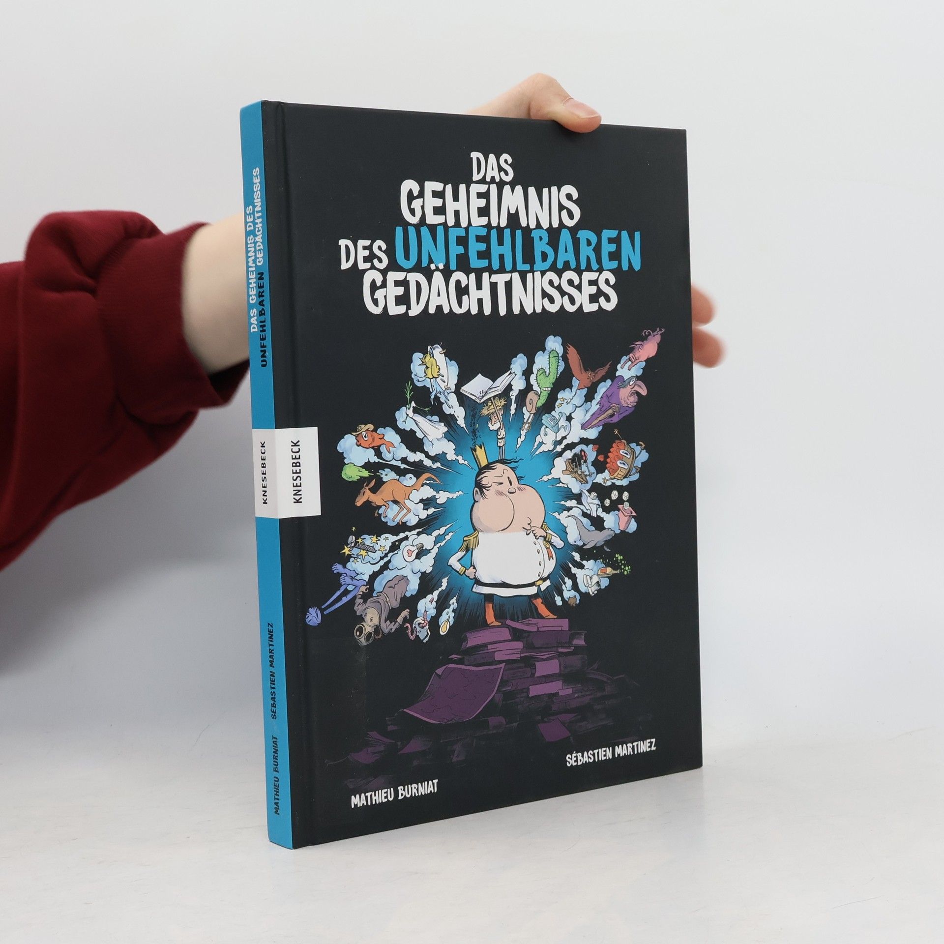 Mathieu Burniat Das Geheimnis des unfehlbaren Gedächtnisses