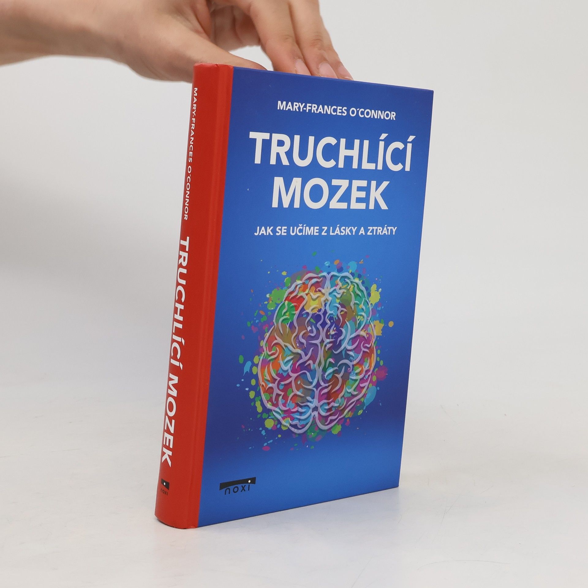 MaryFrances O\'Connor Truchlící mozek : jak se učíme z lásky a ztráty