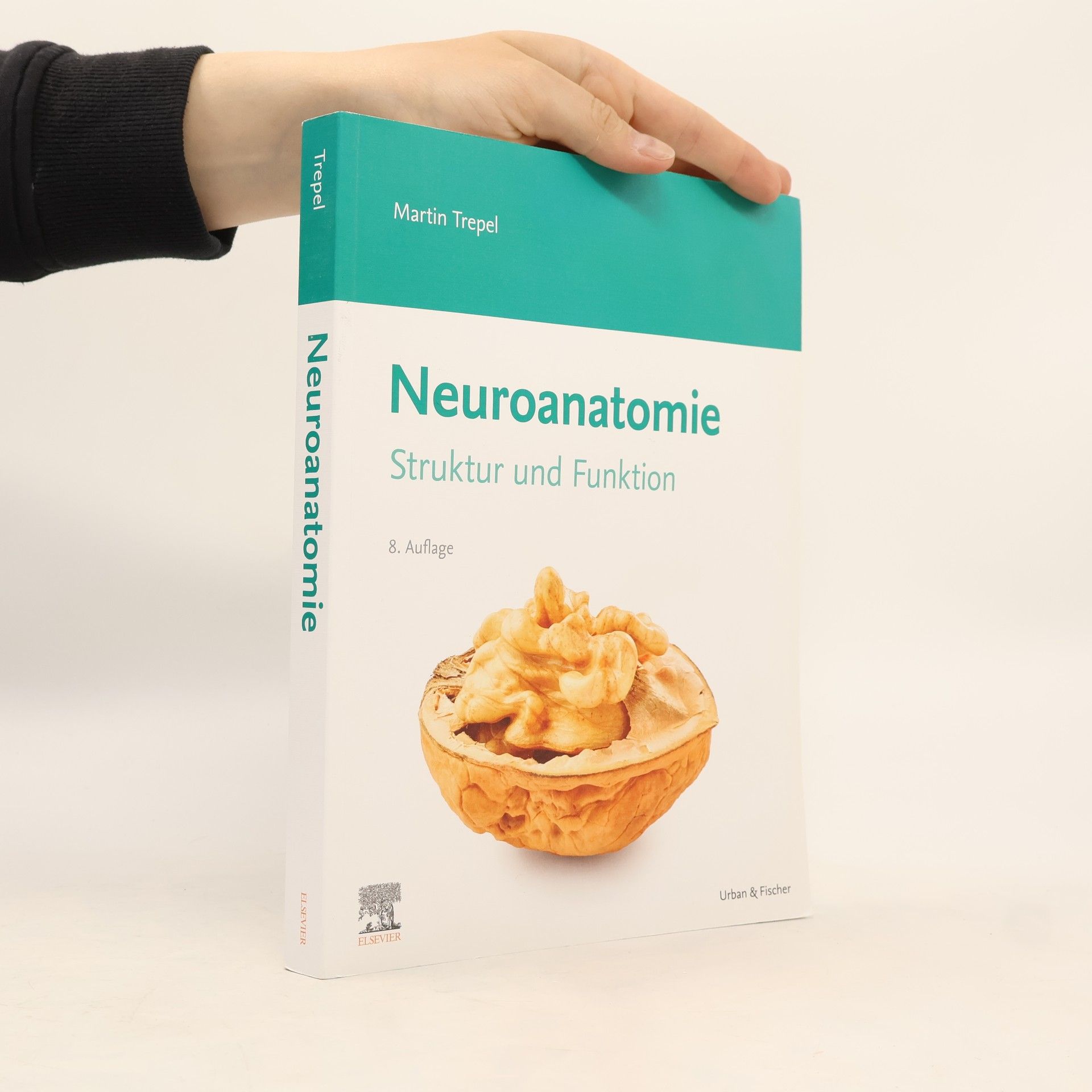 Martin Trepel Neuroanatomie