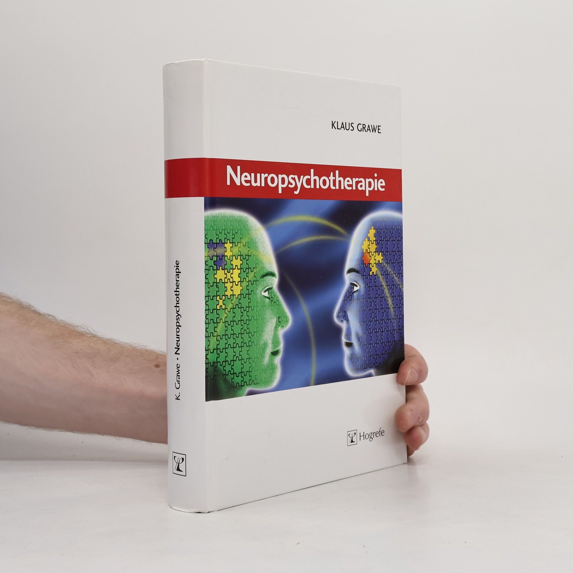 Klaus Grawe Neuropsychotherapie
