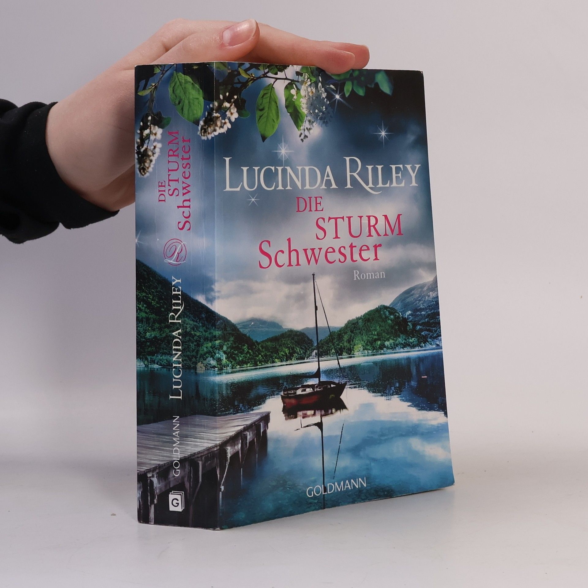 Lucinda Riley Die Sturmschwester