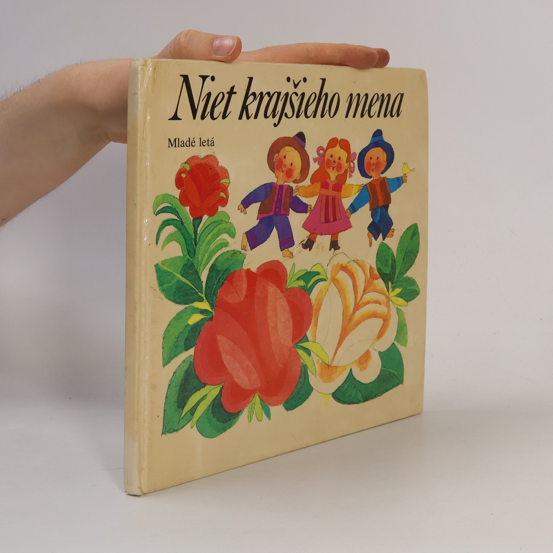 Auteurscollectief Niet krajšieho mena