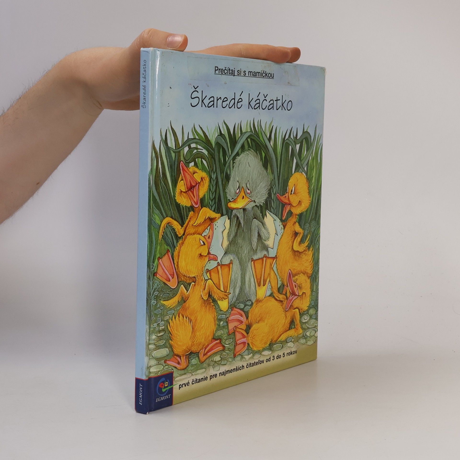 Autores varios Škaredé káčatko