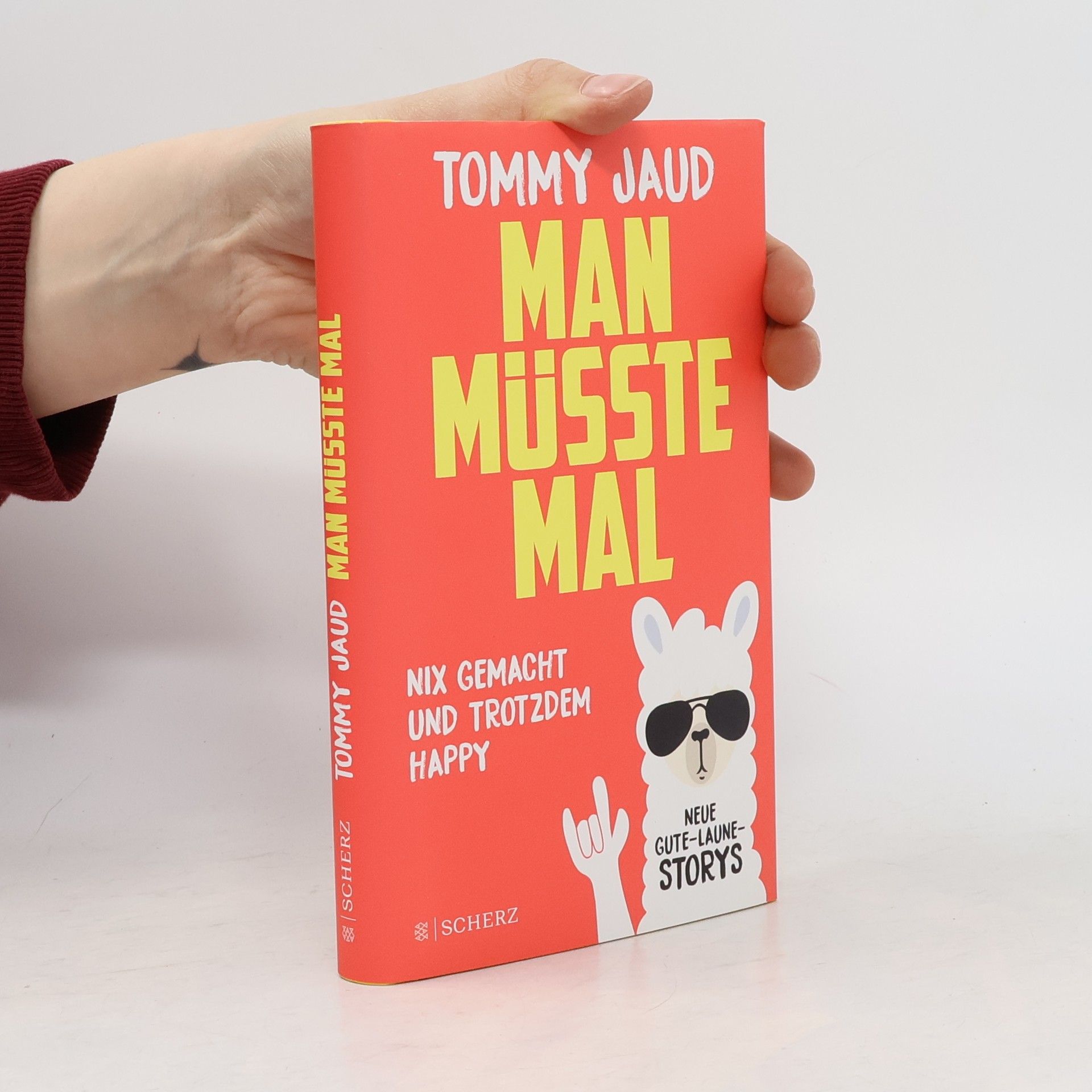 Tommy Jaud Man müsste mal
