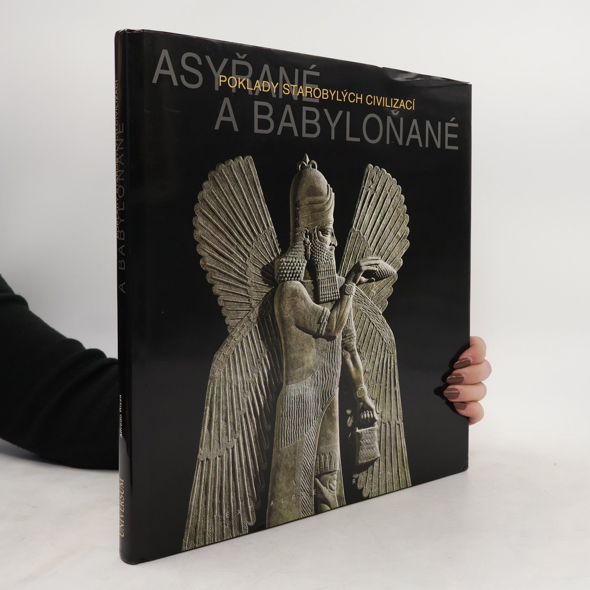 Alfredo Rizza Asyřané a Babyloňané - Poklady starobylých civilizací