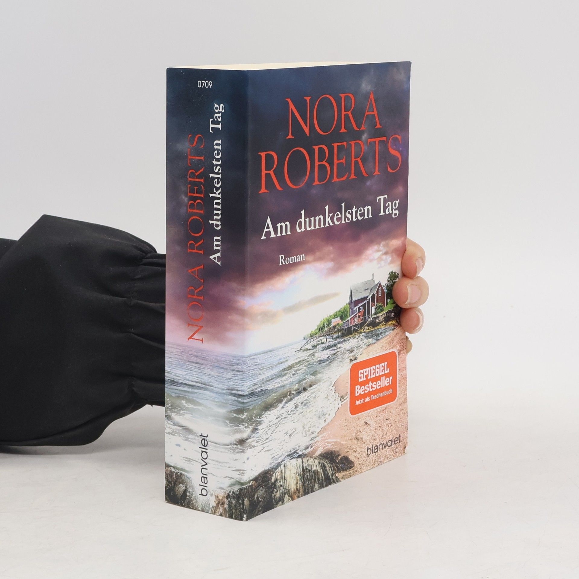 Nora Roberts Am dunkelsten Tag