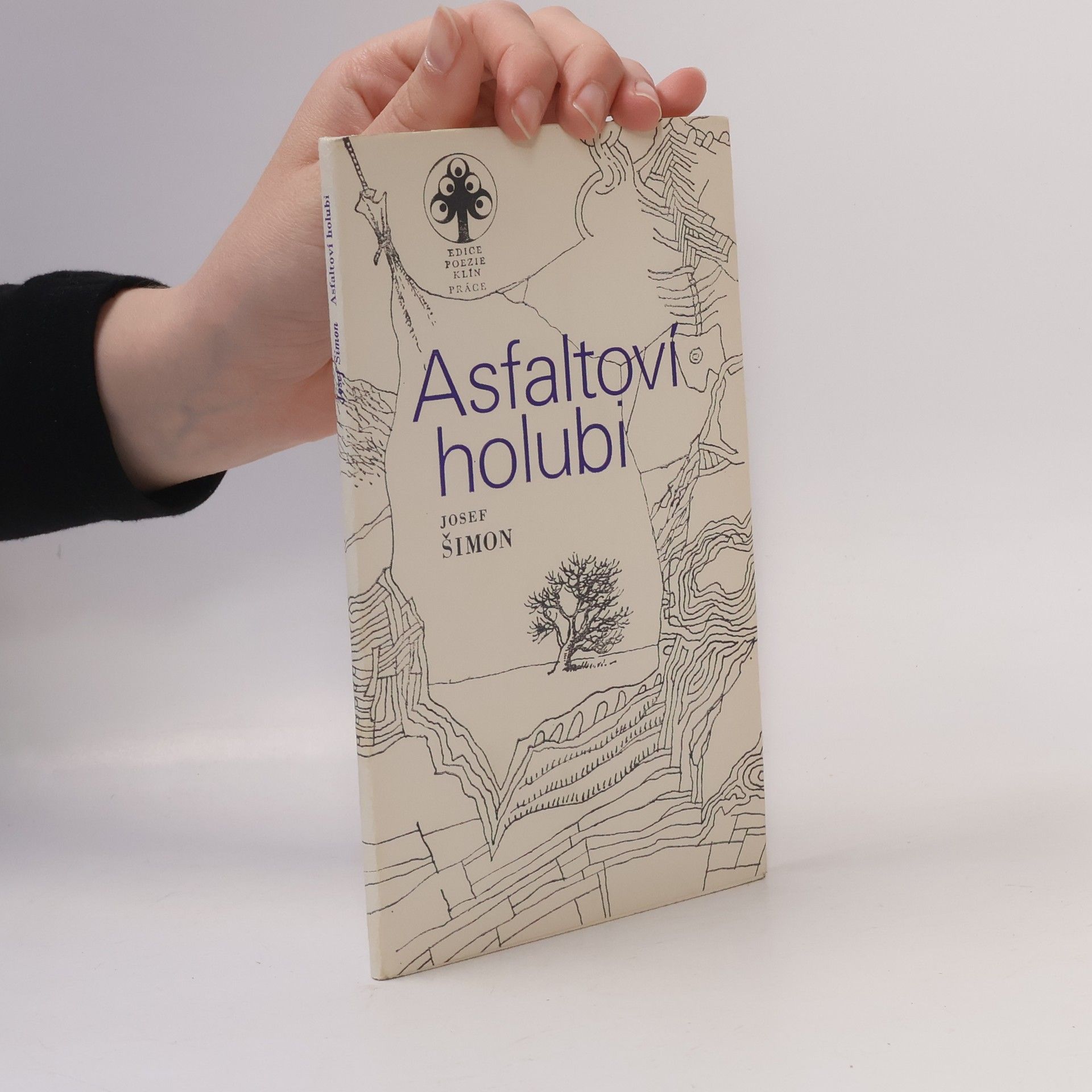Josef Šimon Asfaltoví holubi