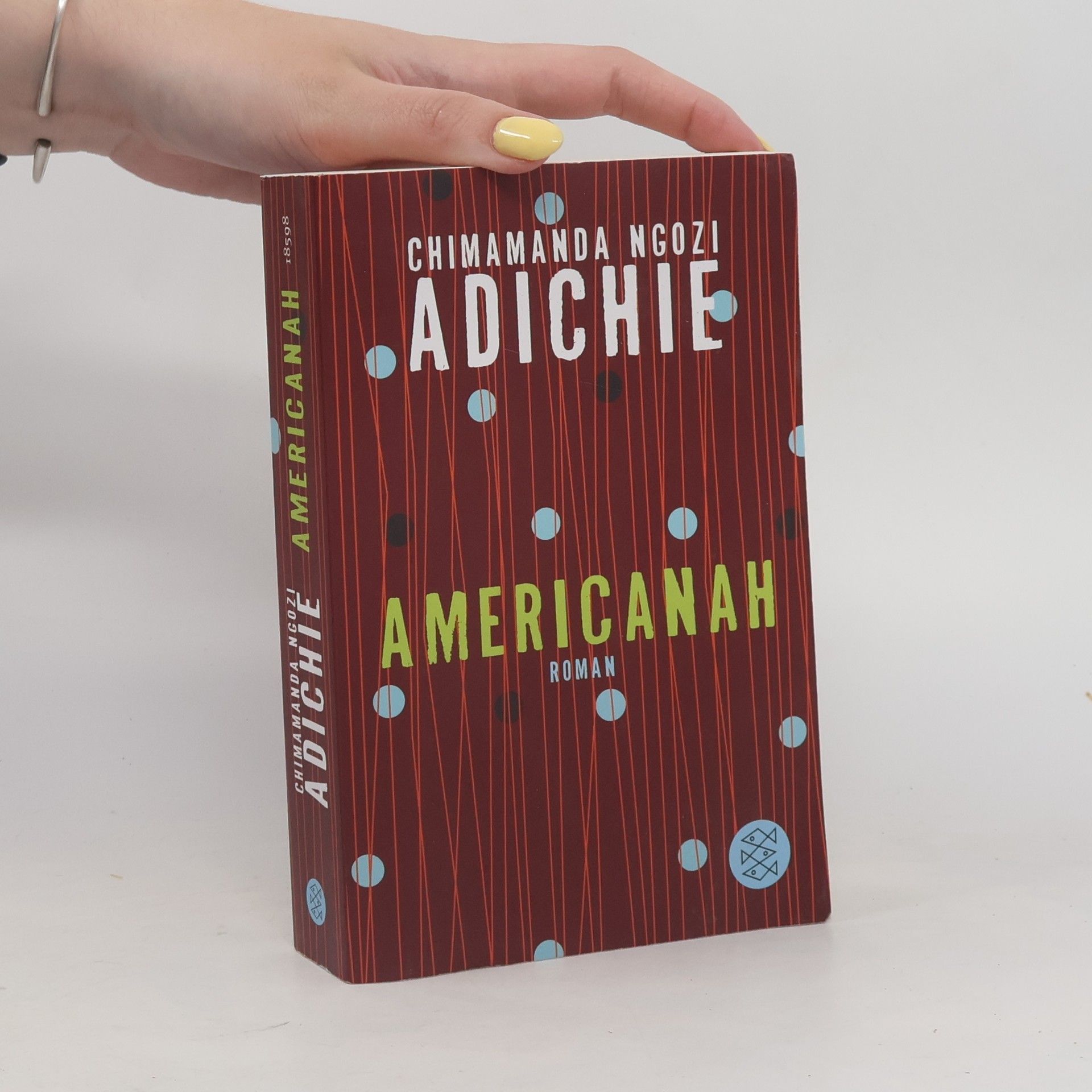 Chimamanda Ngozi Adichie Americanah