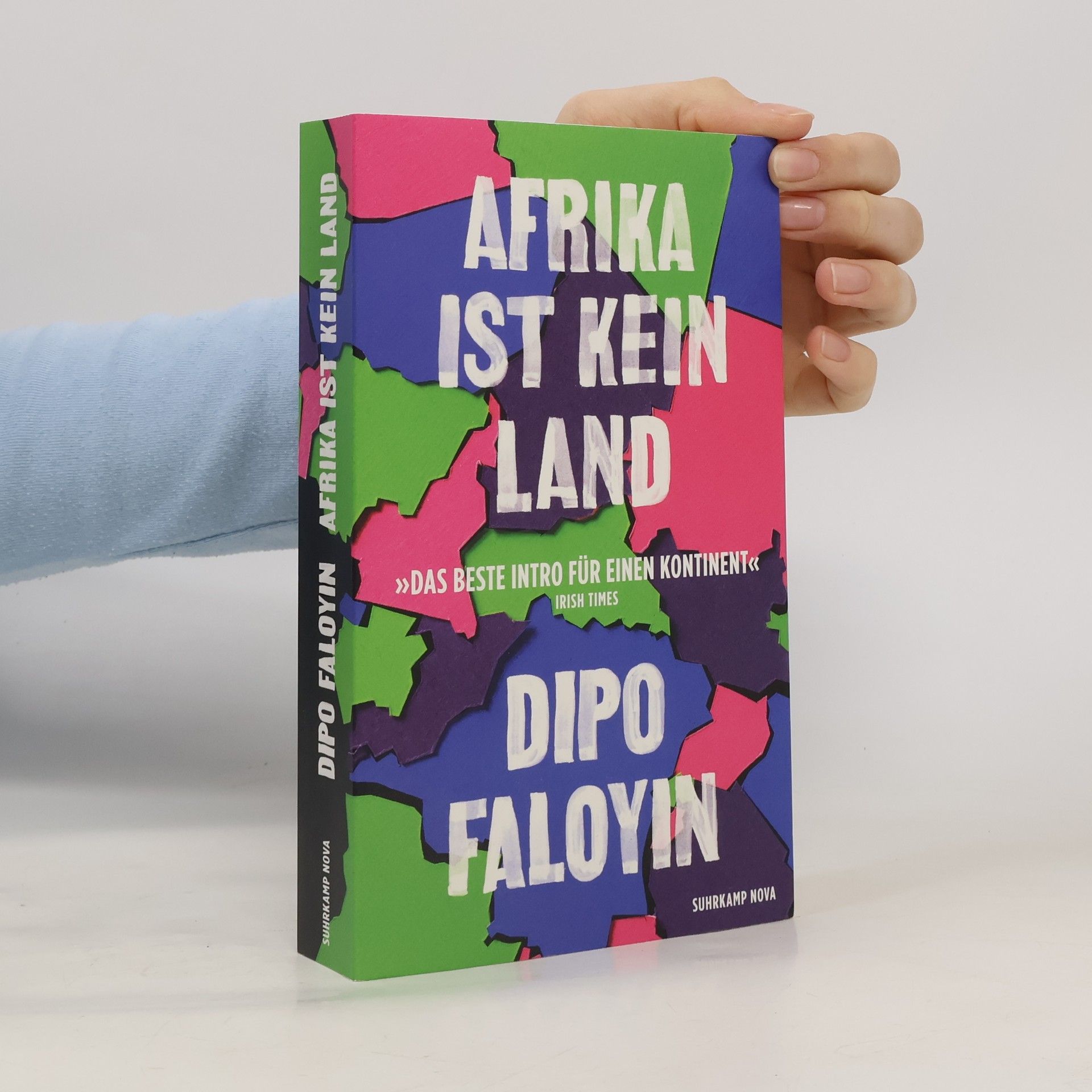 Dipo Faloyin Afrika ist kein Land