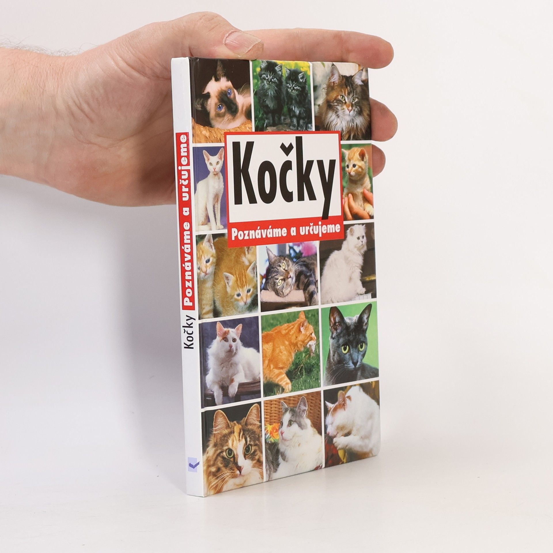 Autores varios Kočky. Poznáváme a určujeme.