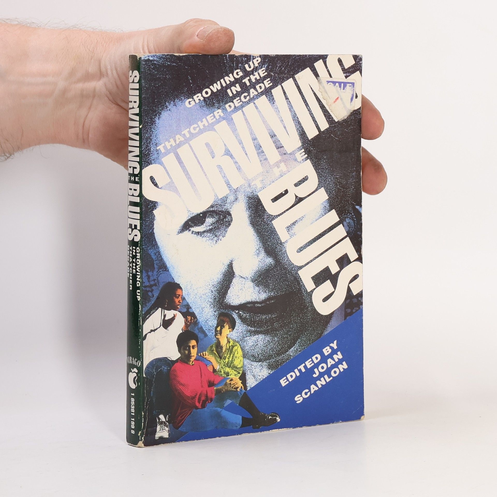 Joan Scanlon Surviving the Blues