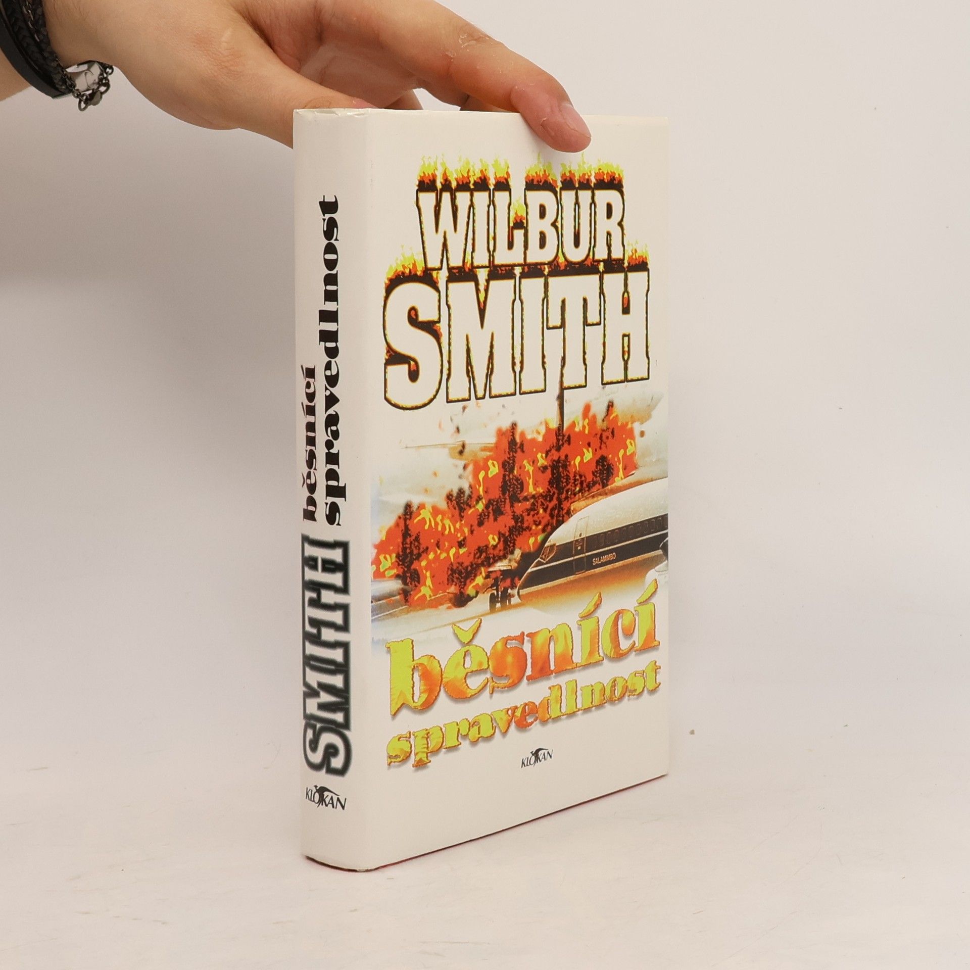 Wilbur Smith Běsnící spravedlnost