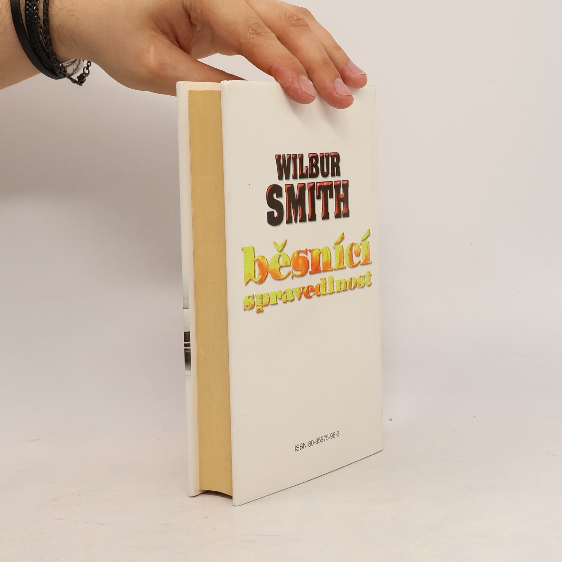 Wilbur Smith Běsnící spravedlnost