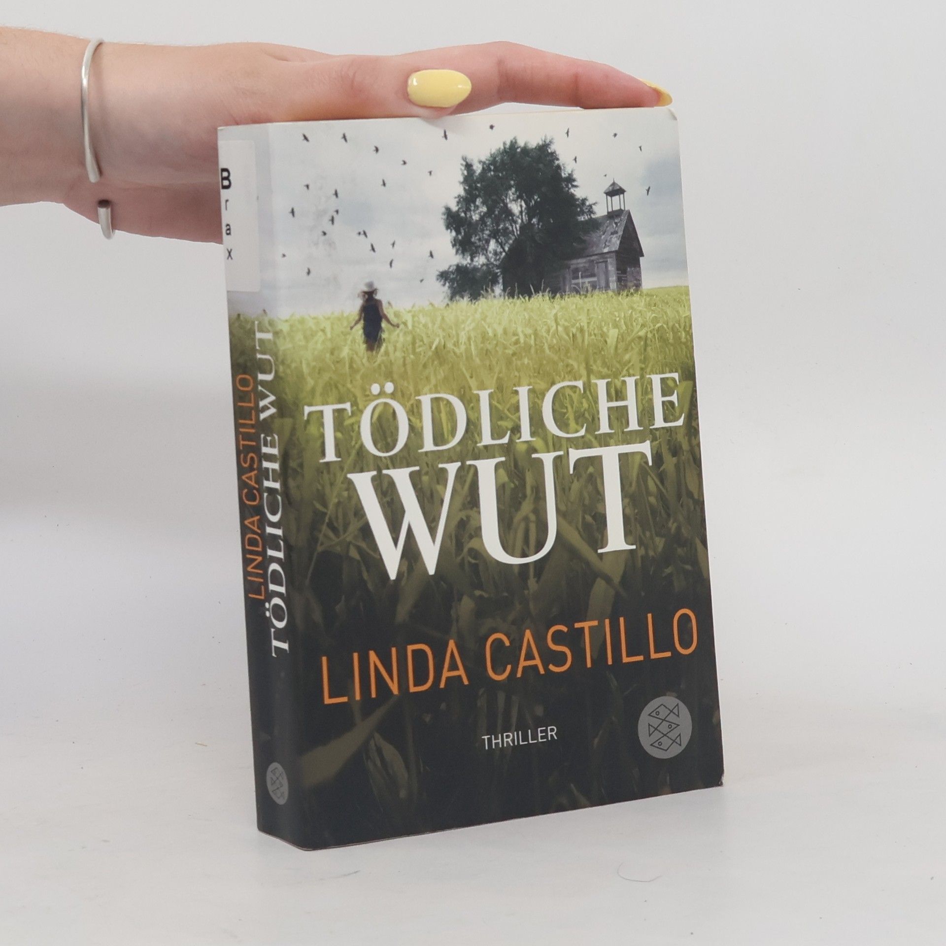 Linda Castillo Tödliche Wut