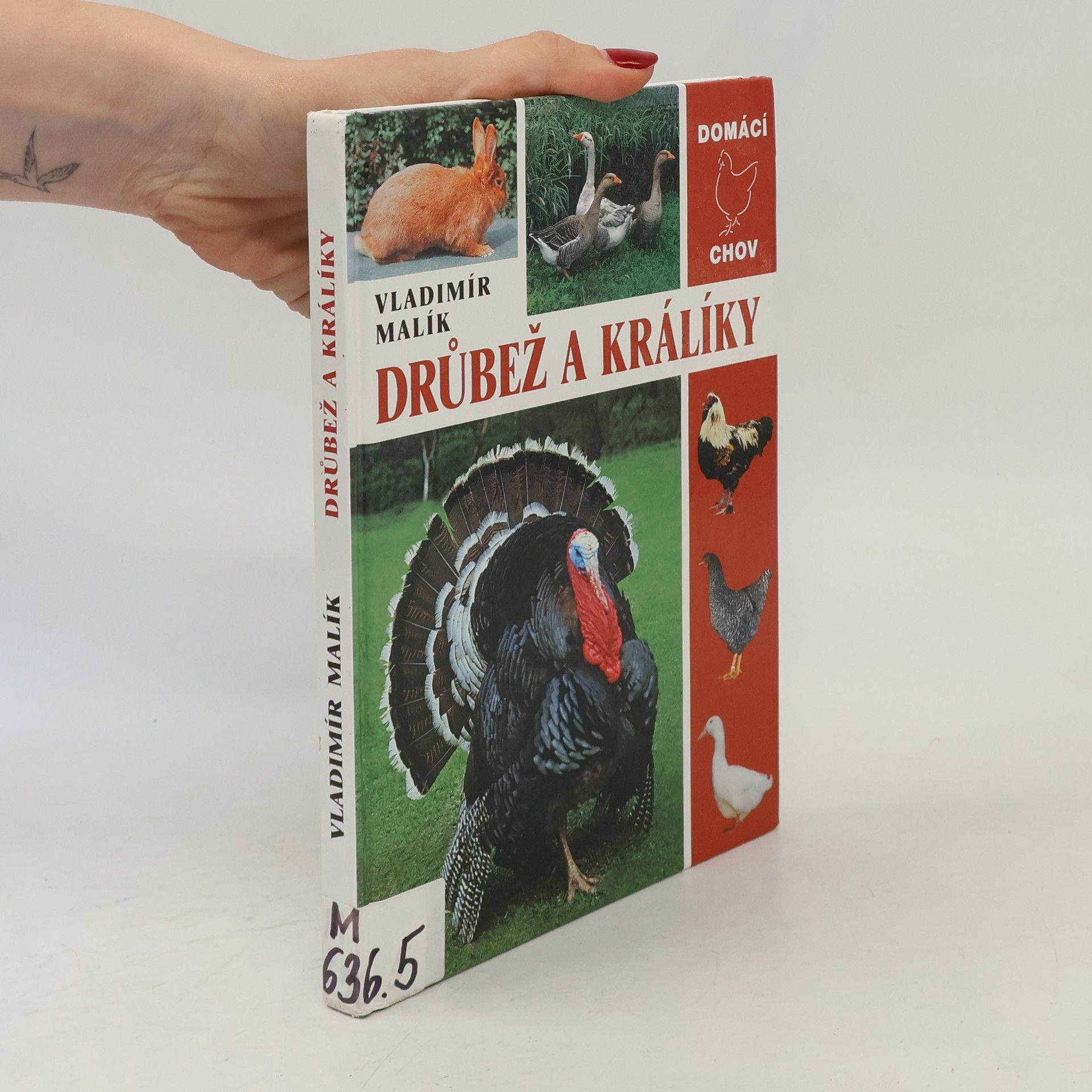 Chováme drůbež a králíky