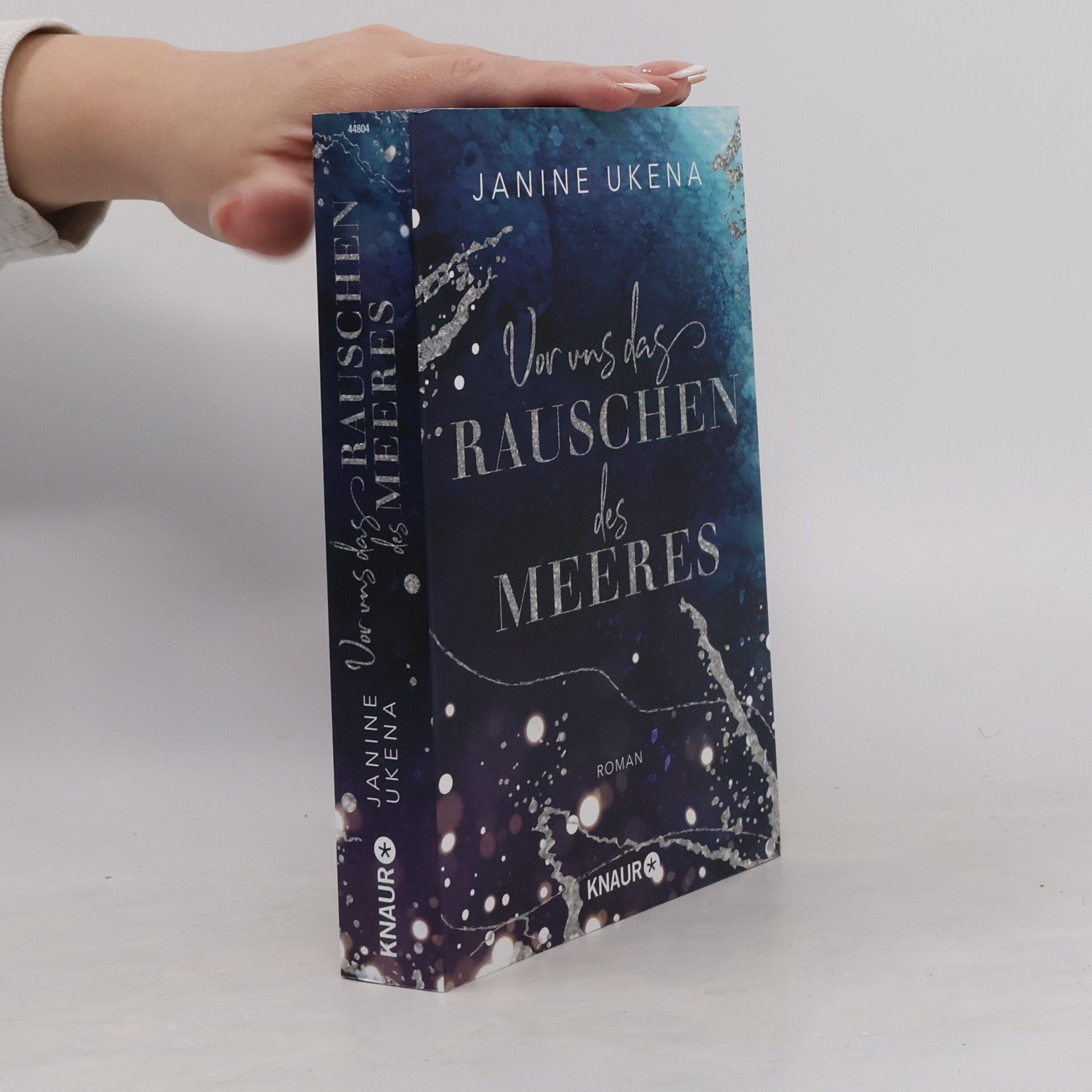 Janine Ukena Vor uns das Rauschen des Meeres