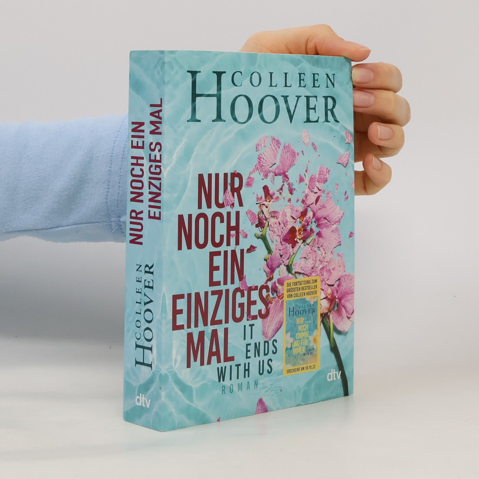 Colleen Hoover Nur noch ein einziges Mal