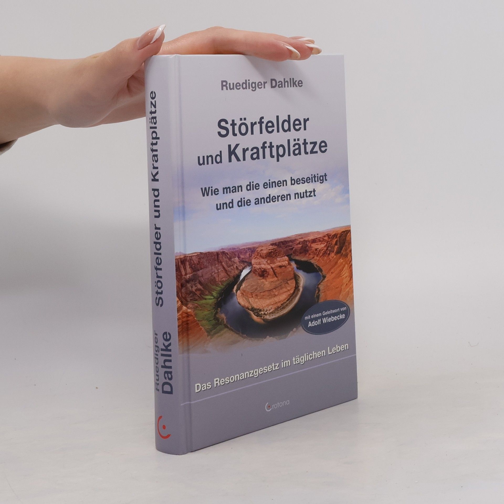 Ruediger Dahlke Störfelder und Kraftplätze