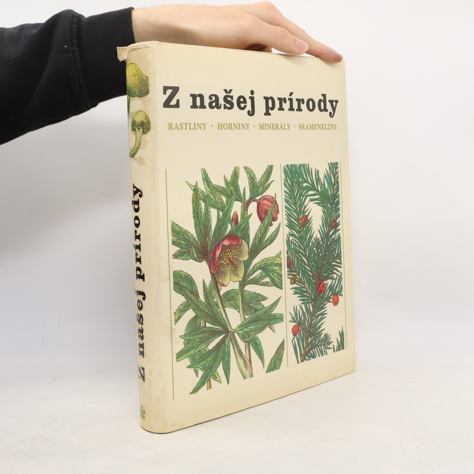 Jindřich Krejča Z našej prírody