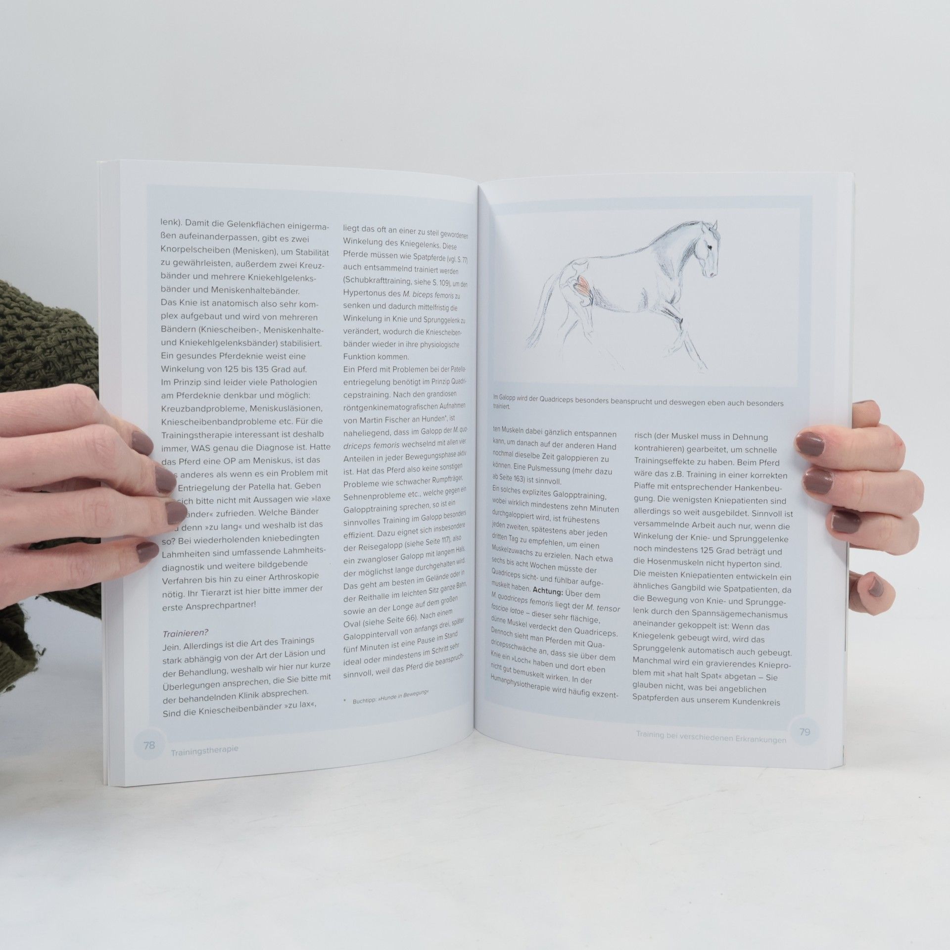 Katharina Möller-Weingand Trainingstherapie