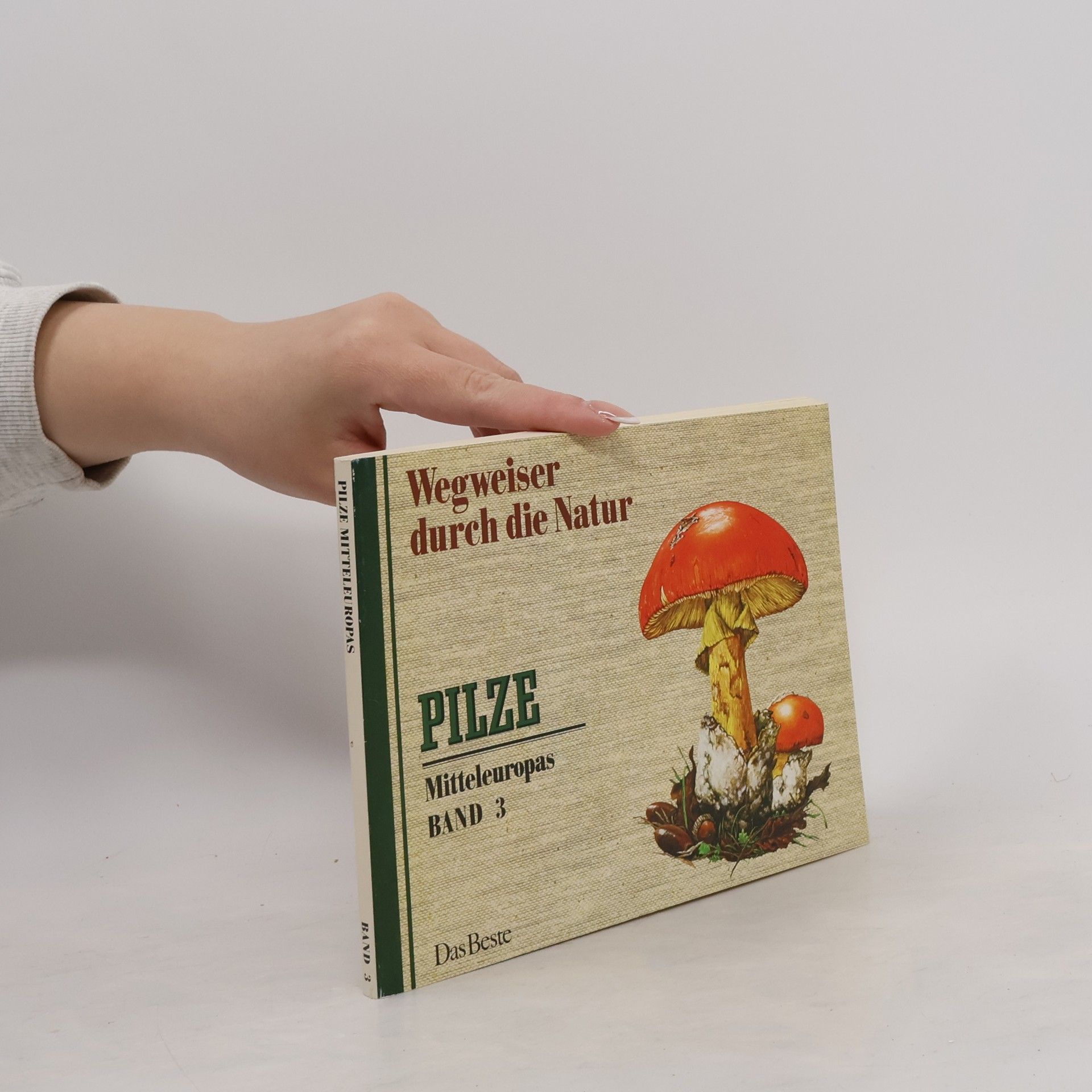 Autorenkollektiv Pilze 3