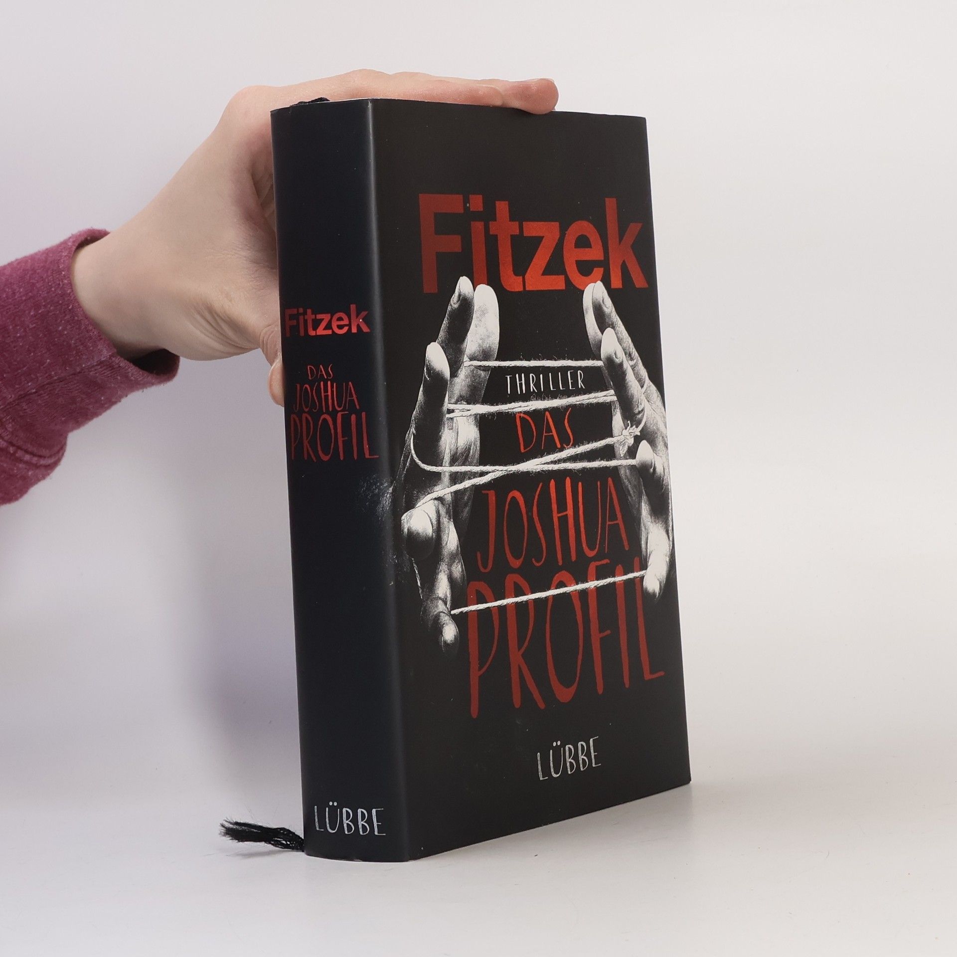 Sebastian Fitzek Das Joshua Profil