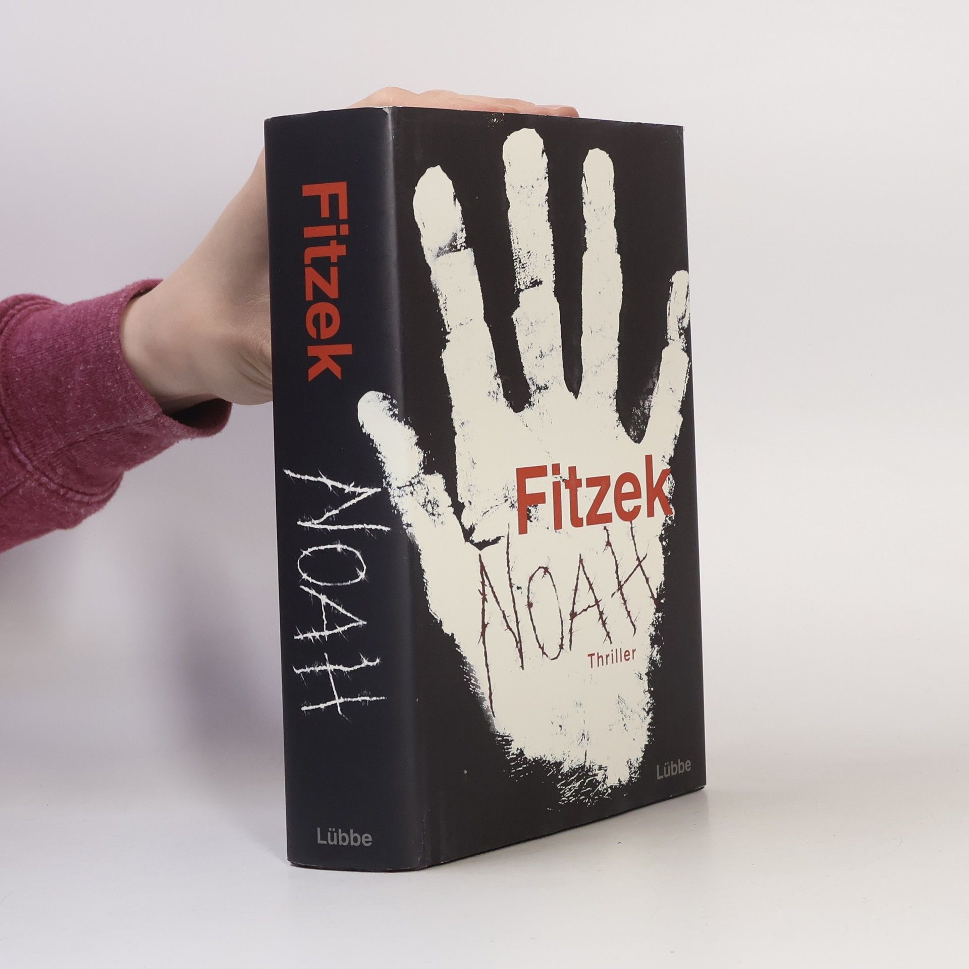Sebastian Fitzek Noah