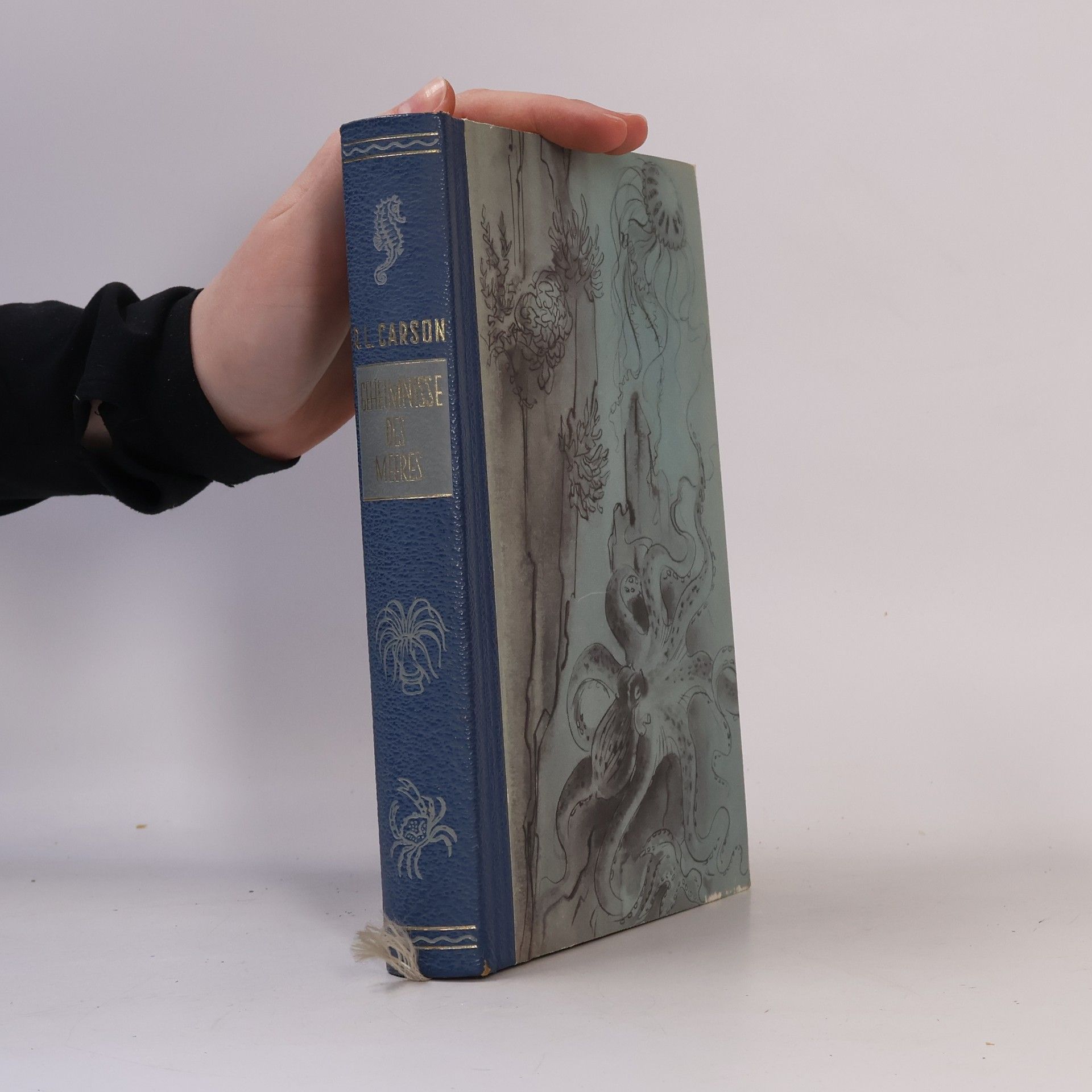 Rachel Carson Geheimnisse des Meeres