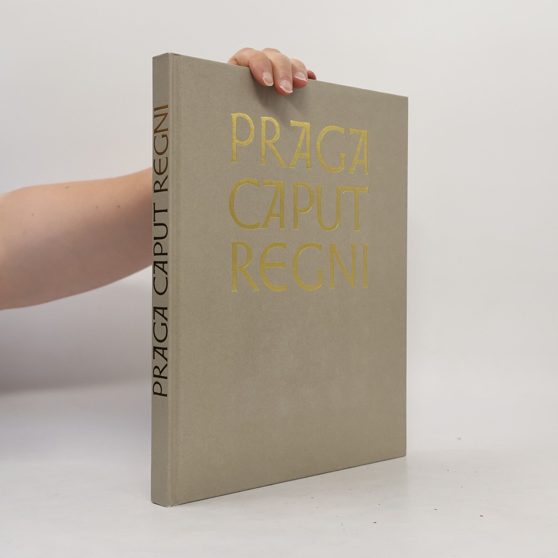Norah Hronková Praga Caput Regni : The Sights of Prague and Its Neighborhood