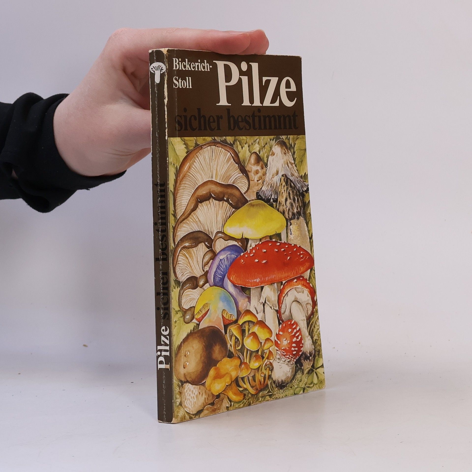Katharina Bickerich Stoll Pilze sicher bestimmt