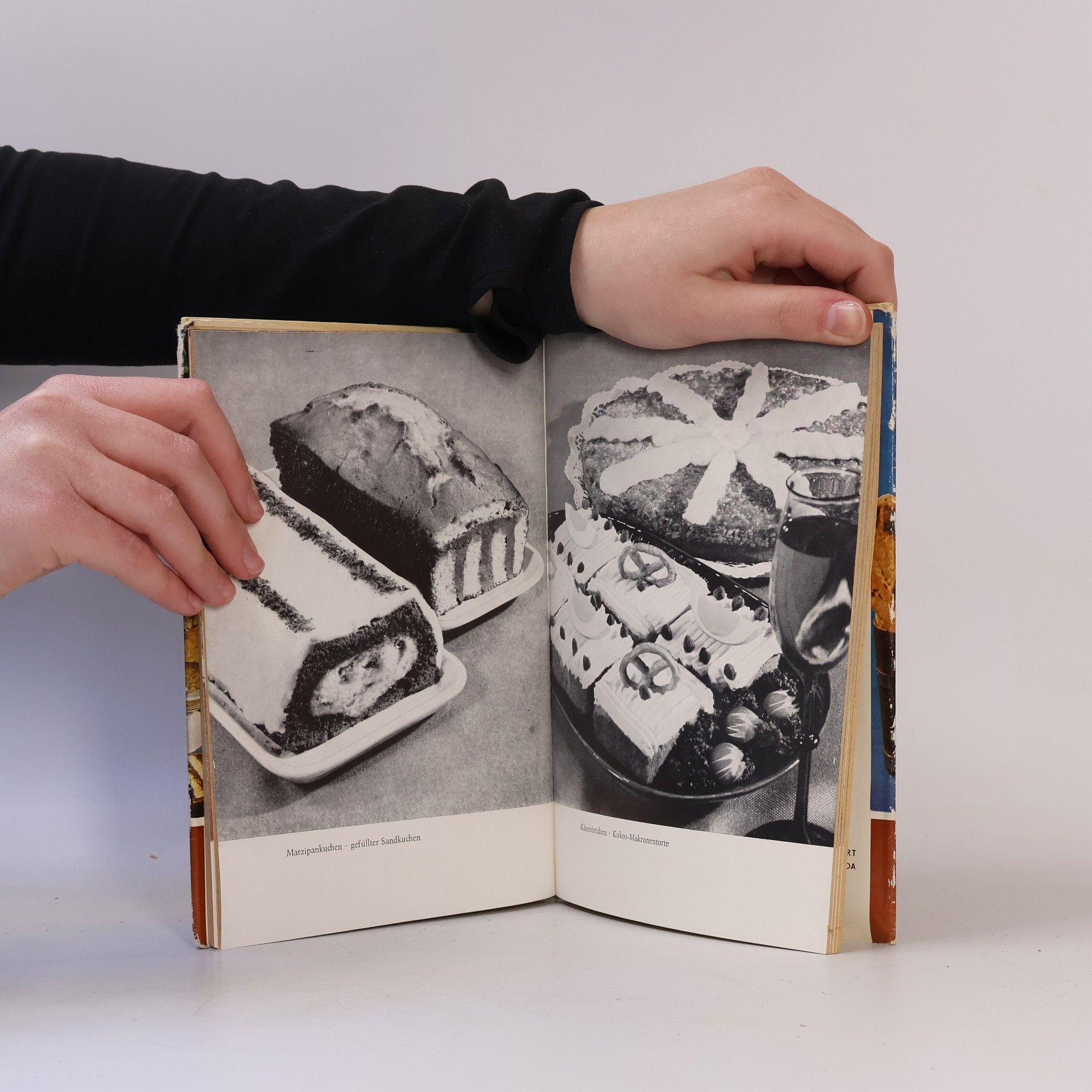 Autorenkollektiv Das Backbuch