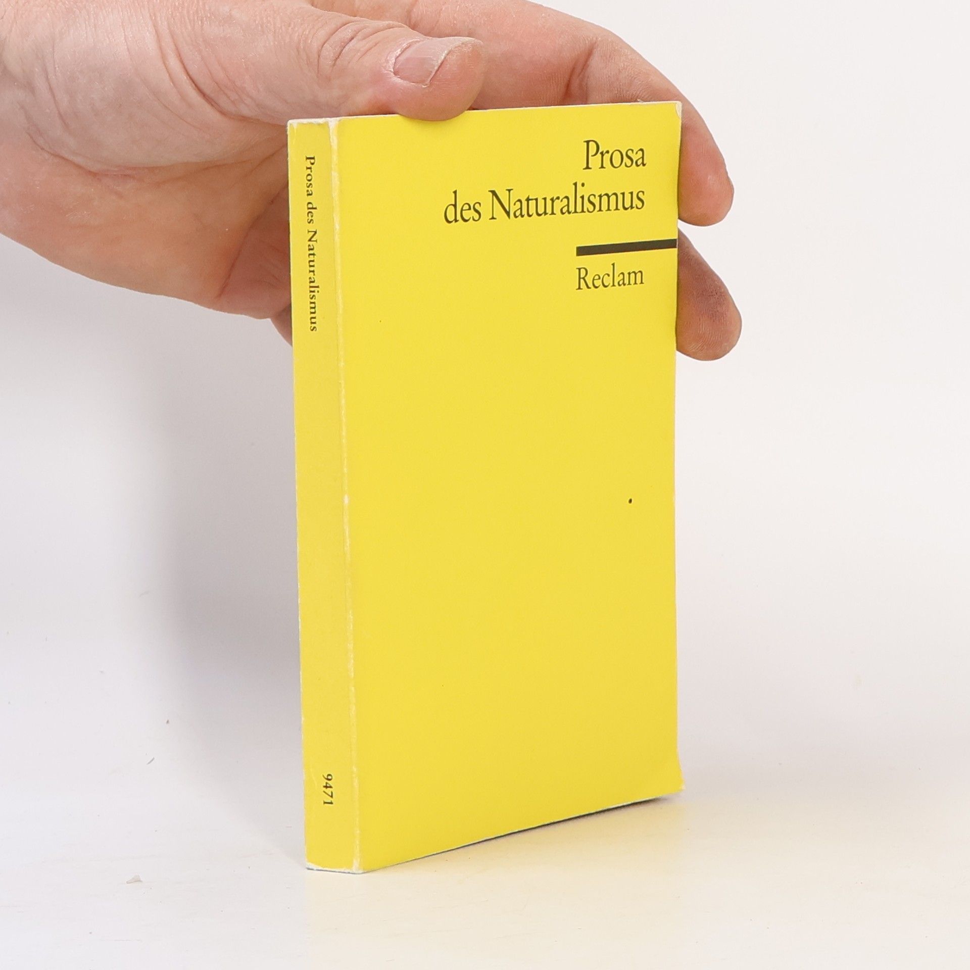 Gerhard Schulz Prosa des Naturalismus